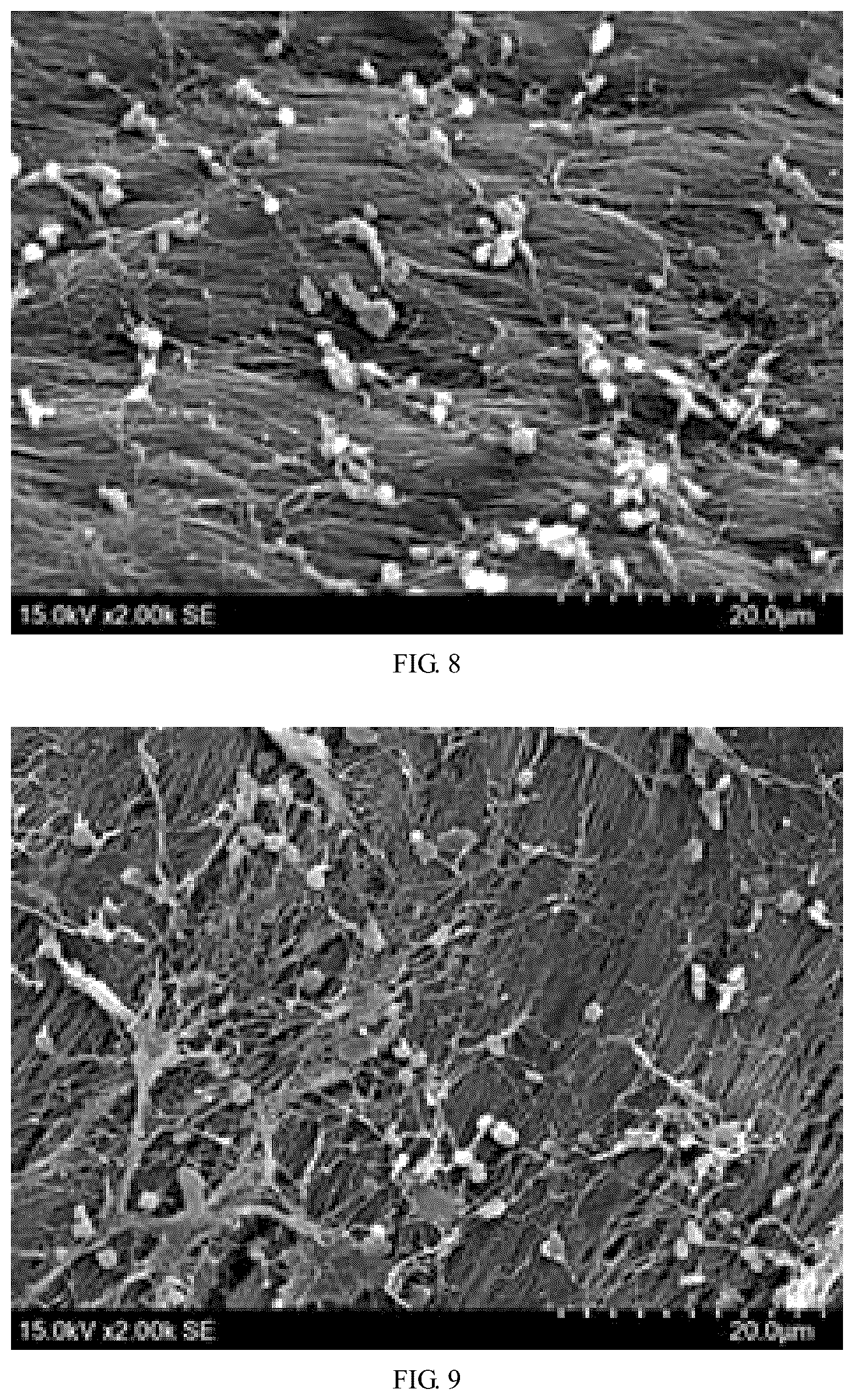 Patent US12097113 Figure 5 – Bioprosthetic valve and preparation method thereof