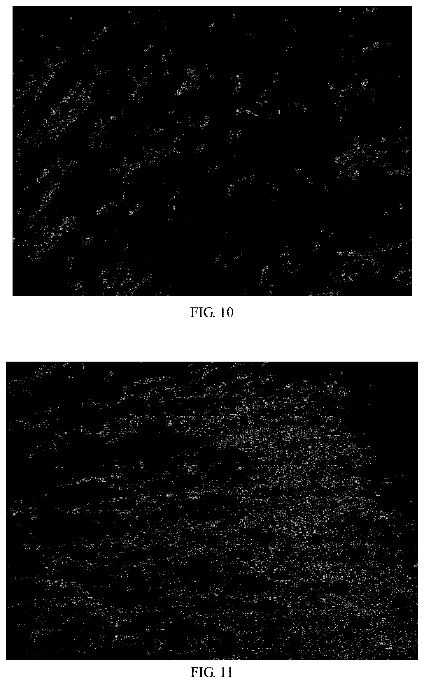 Patent US12097113 Figure 6 – Bioprosthetic valve and preparation method thereof