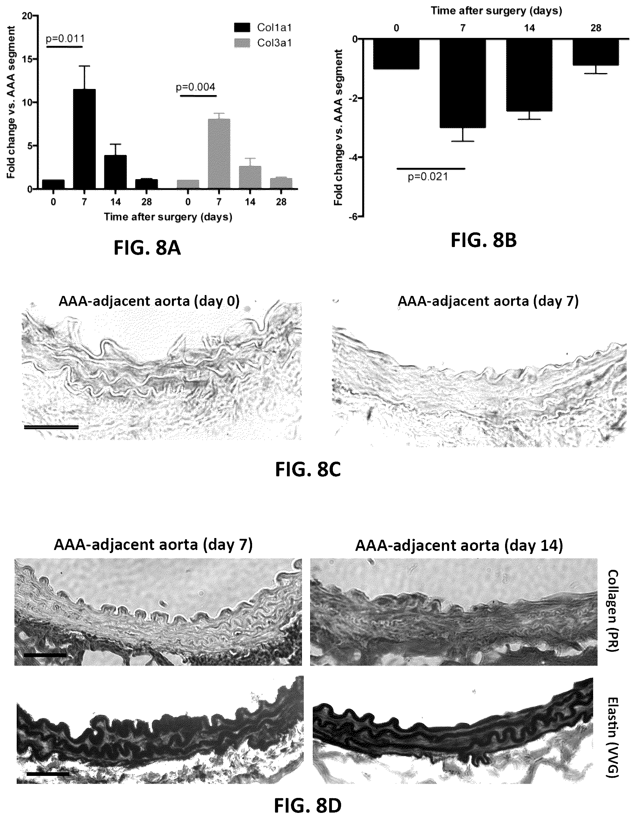 Patent US12097135 Figure 6 – Methods, devices, and compositions for treating vascular aneurysms