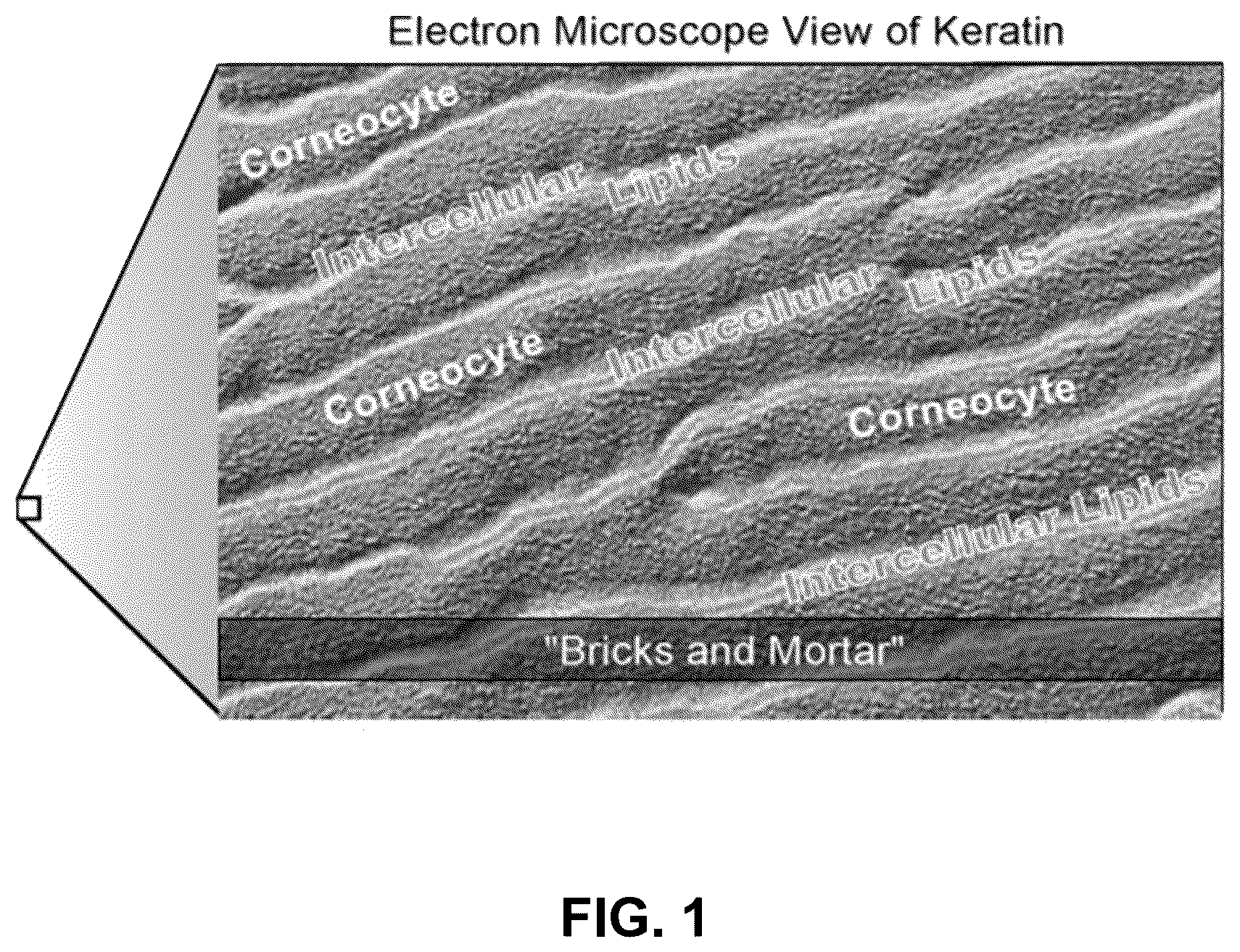 Patent US12097171 Figure 1 – Petrolatum-based PHMB compositions and methods of treatment for onychomycosis