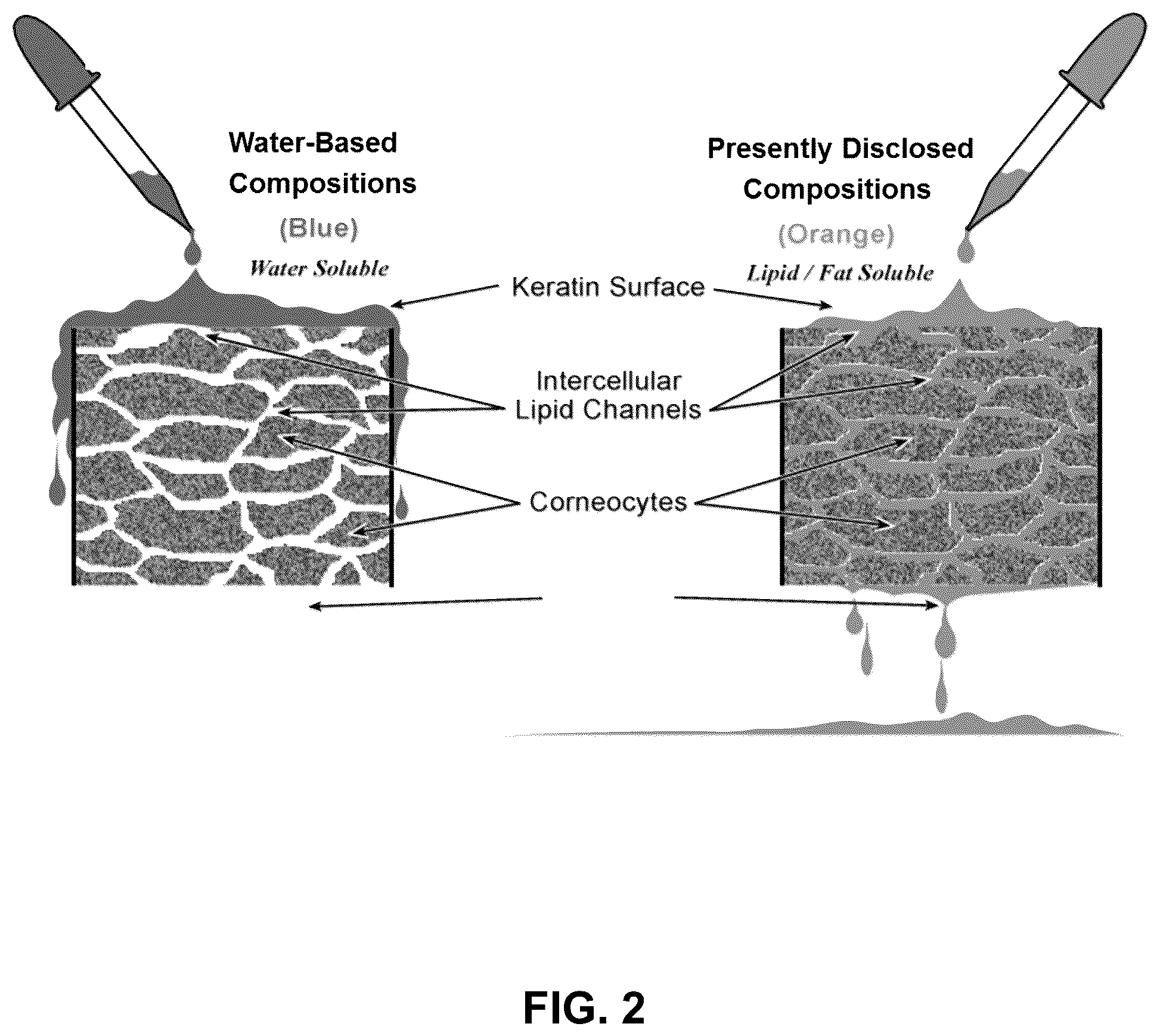Patent US12097171 Figure 2 – Petrolatum-based PHMB compositions and methods of treatment for onychomycosis