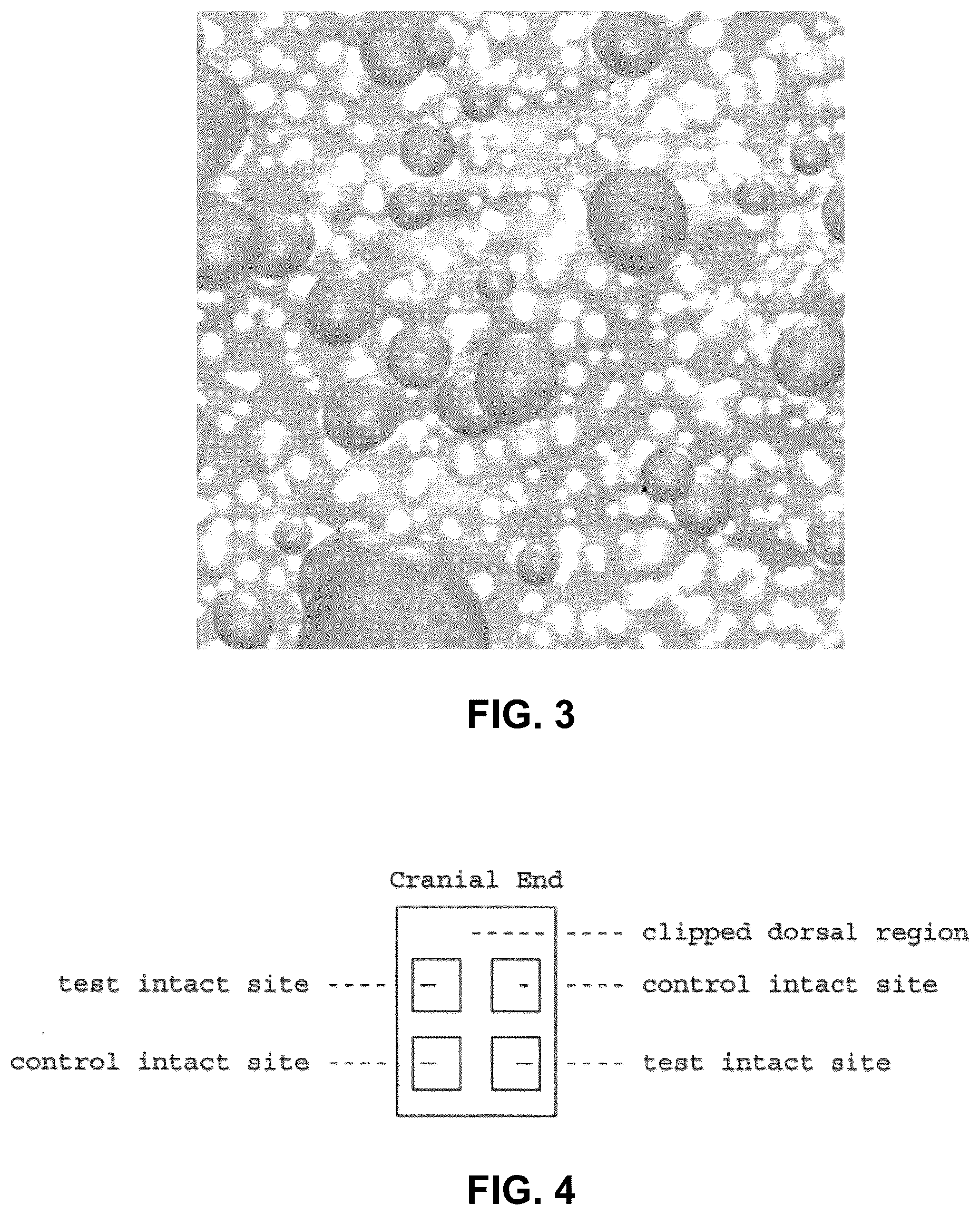 Patent US12097171 Figure 3 – Petrolatum-based PHMB compositions and methods of treatment for onychomycosis