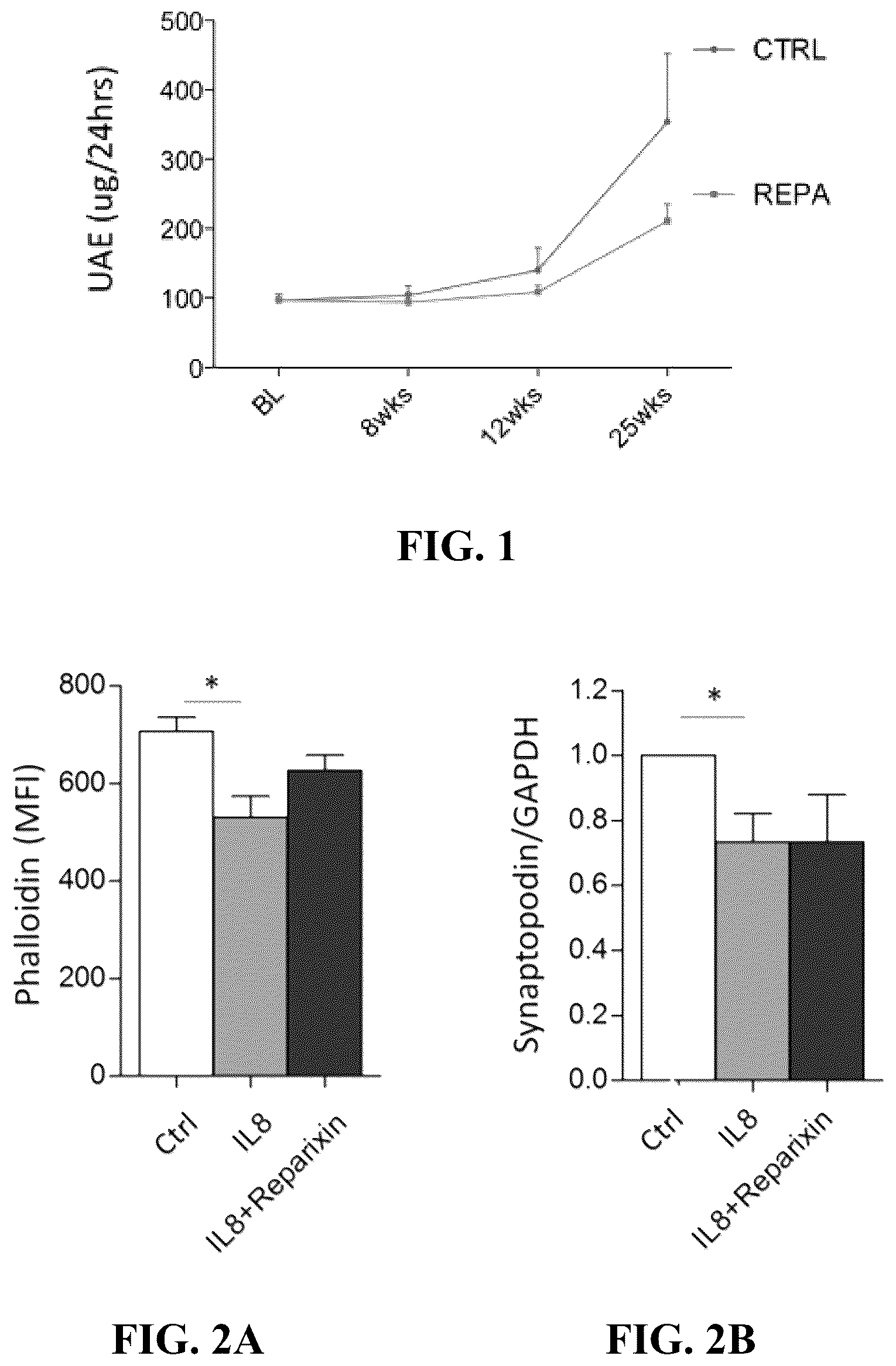 Patent US12097172 Figure 1 – Prevention and treatment of diabetic nephropathy