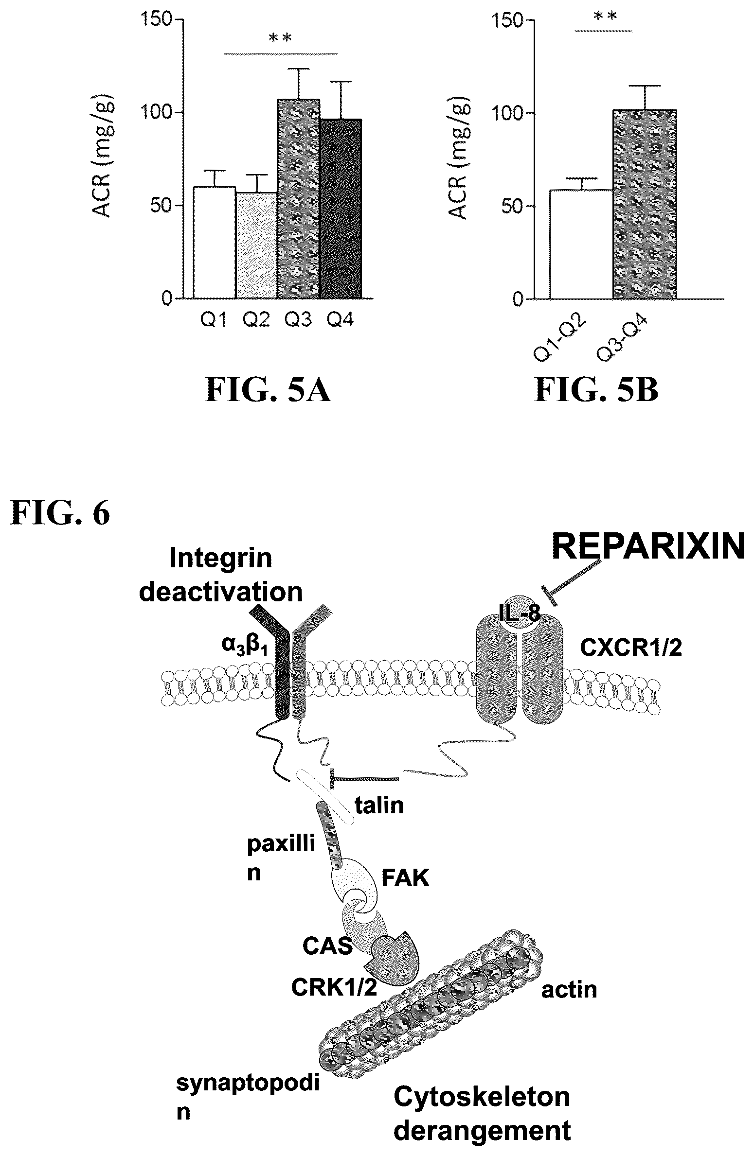 Patent US12097172 Figure 3 – Prevention and treatment of diabetic nephropathy