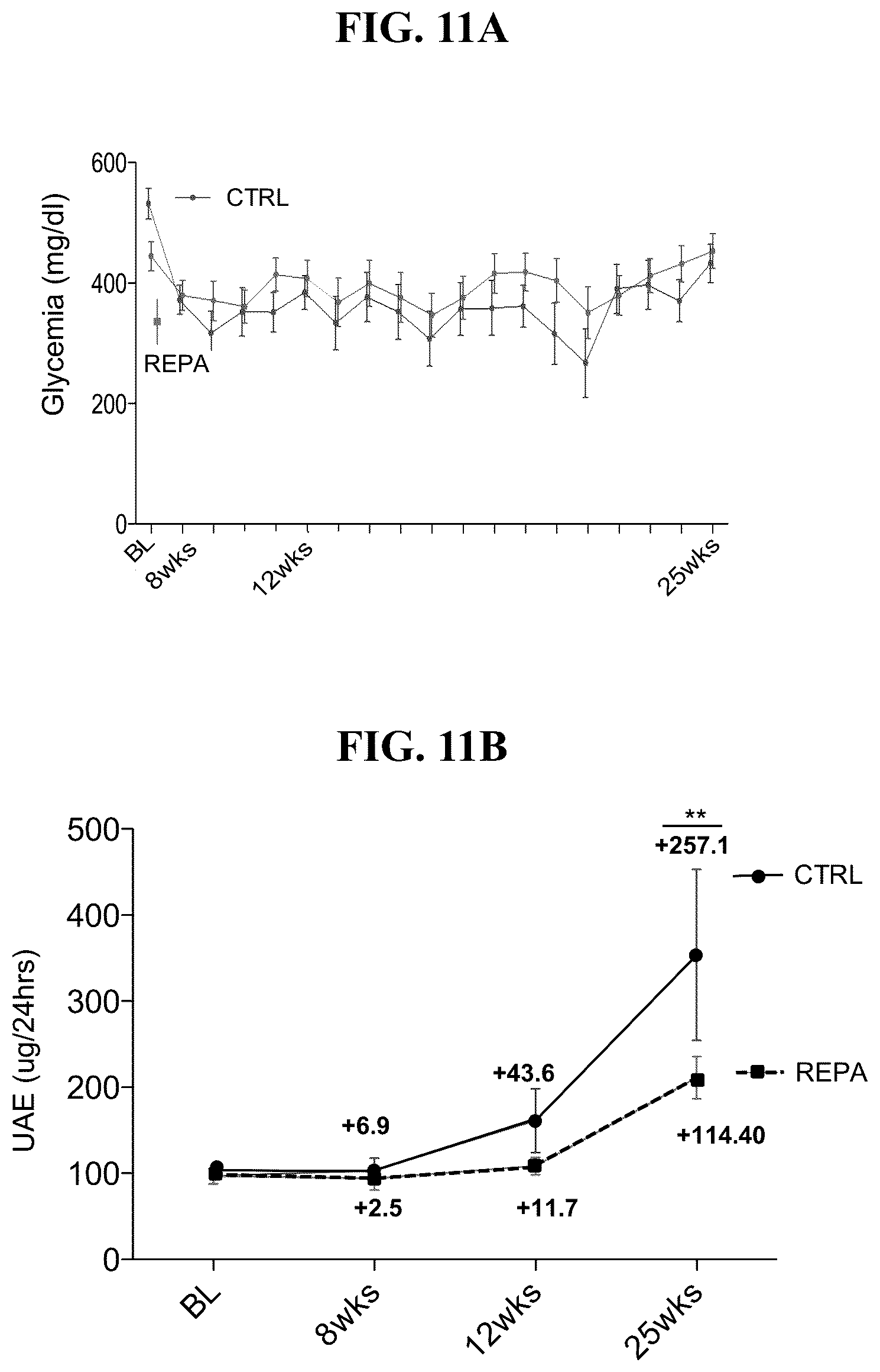 Patent US12097172 Figure 12 – Prevention and treatment of diabetic nephropathy