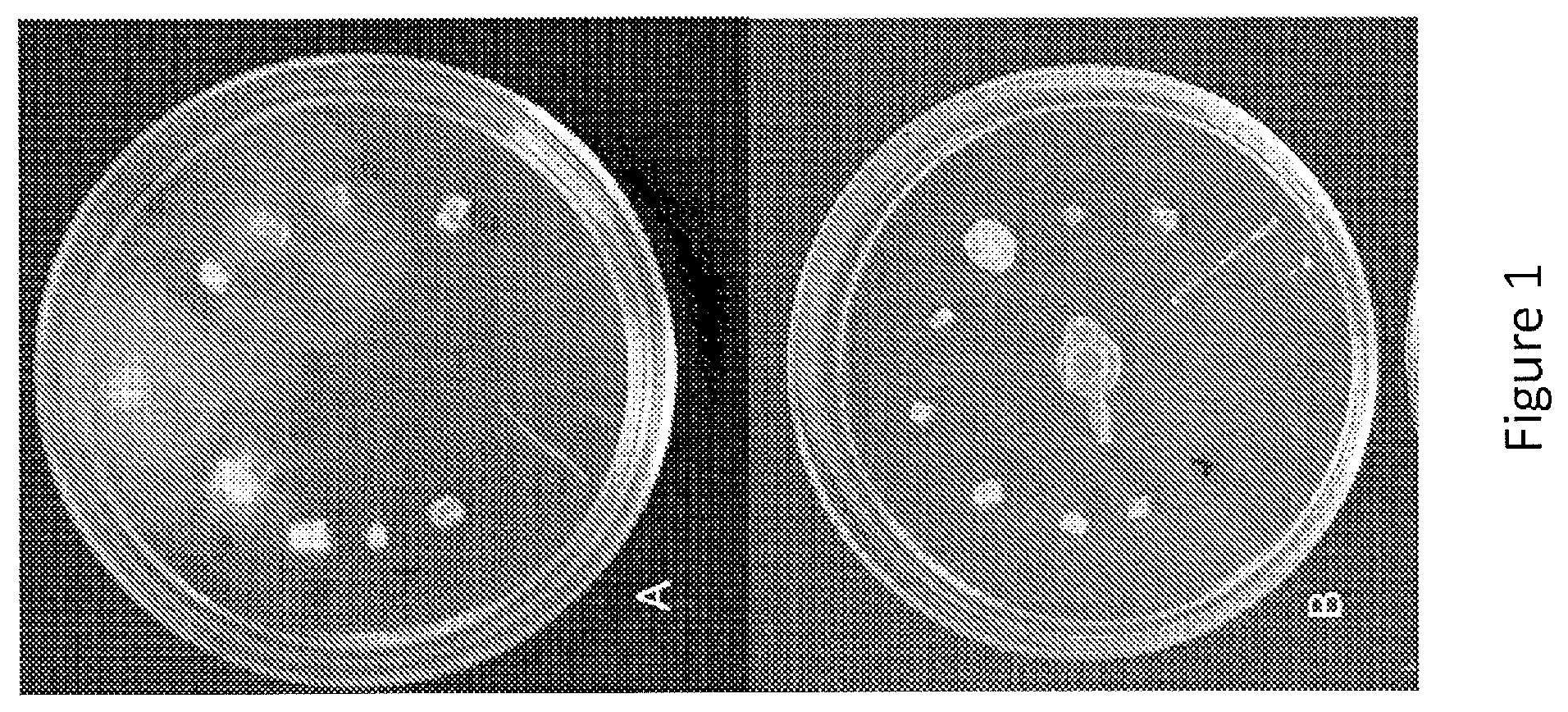 Patent US12097173 Figure 1 – Volatile organic compound formulations having antimicrobial activity