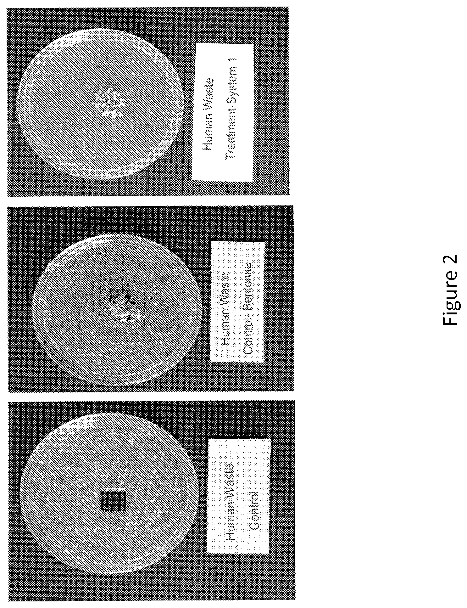 Patent US12097173 Figure 2 – Volatile organic compound formulations having antimicrobial activity
