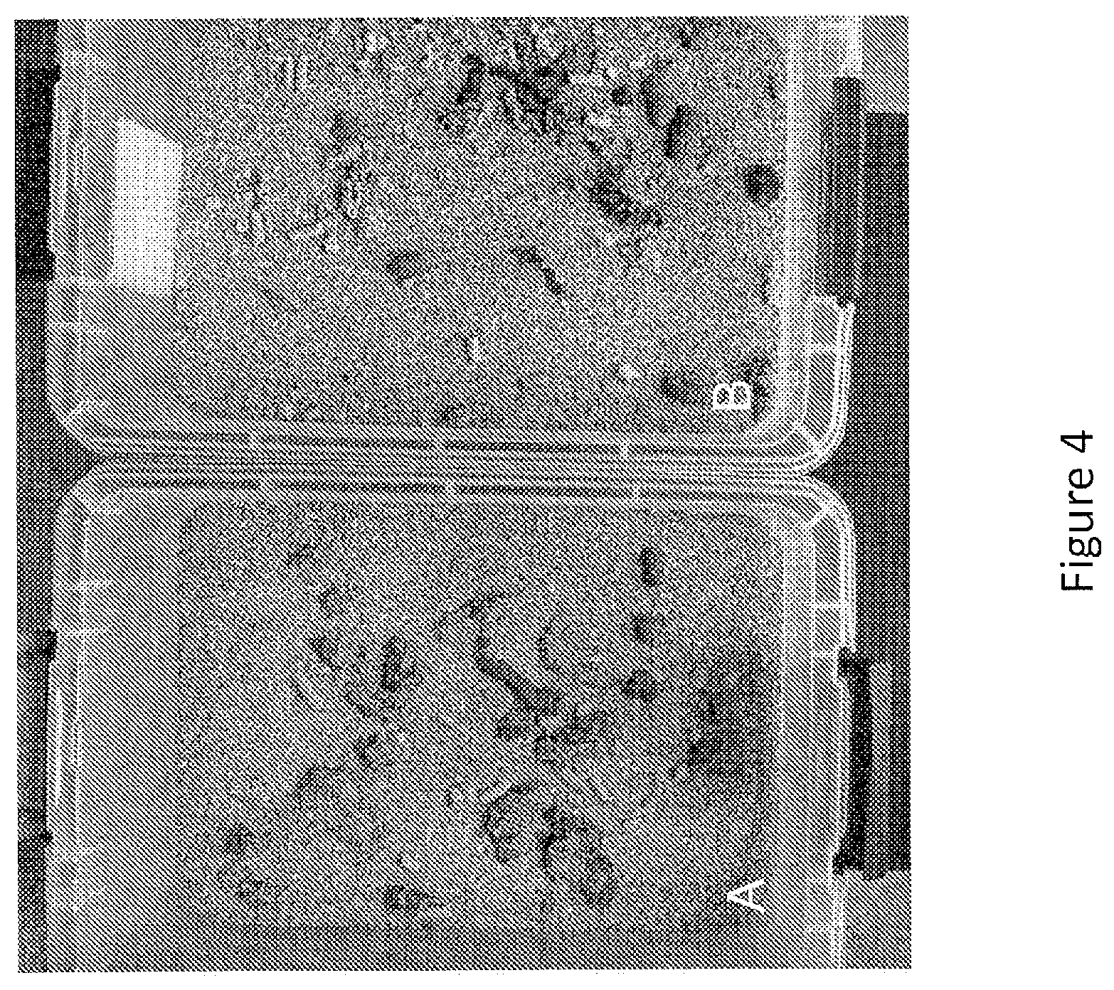 Patent US12097173 Figure 4 – Volatile organic compound formulations having antimicrobial activity