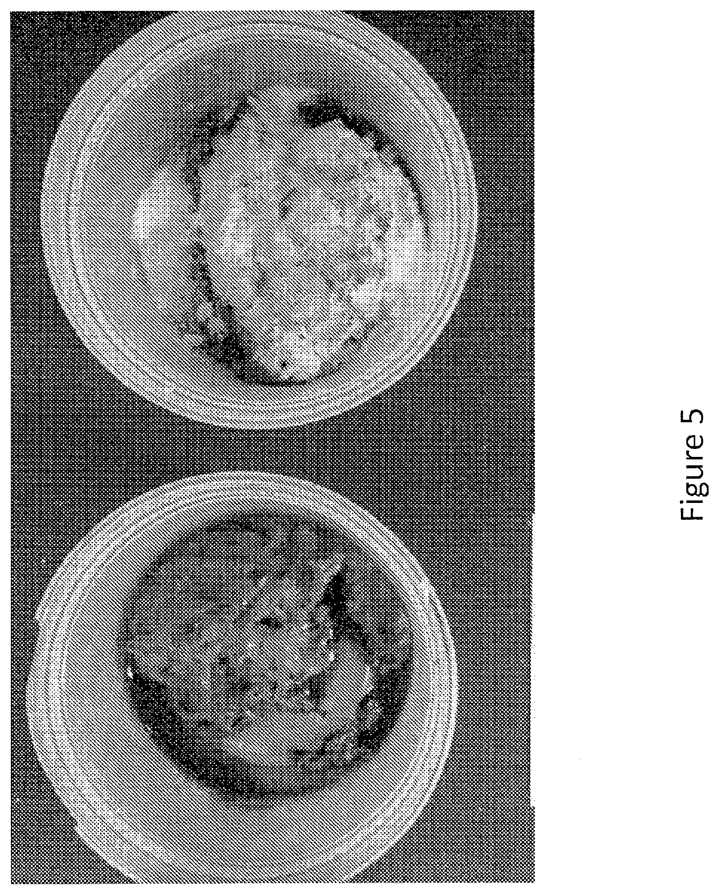 Patent US12097173 Figure 5 – Volatile organic compound formulations having antimicrobial activity