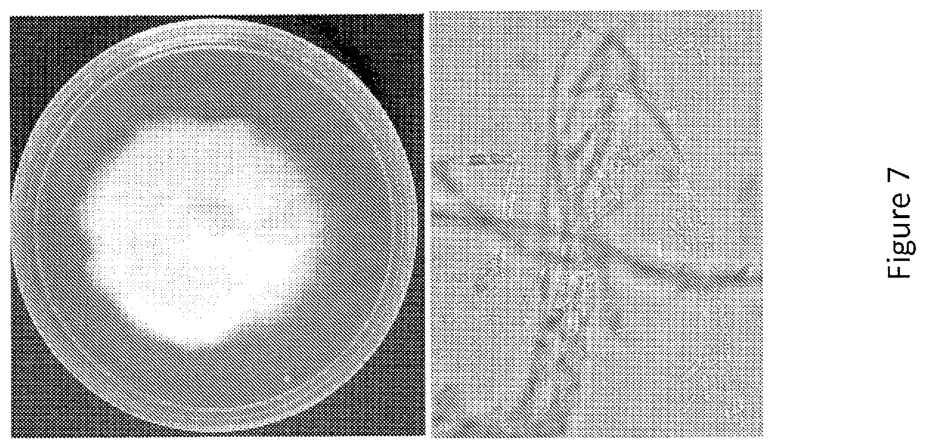 Patent US12097173 Figure 7 – Volatile organic compound formulations having antimicrobial activity