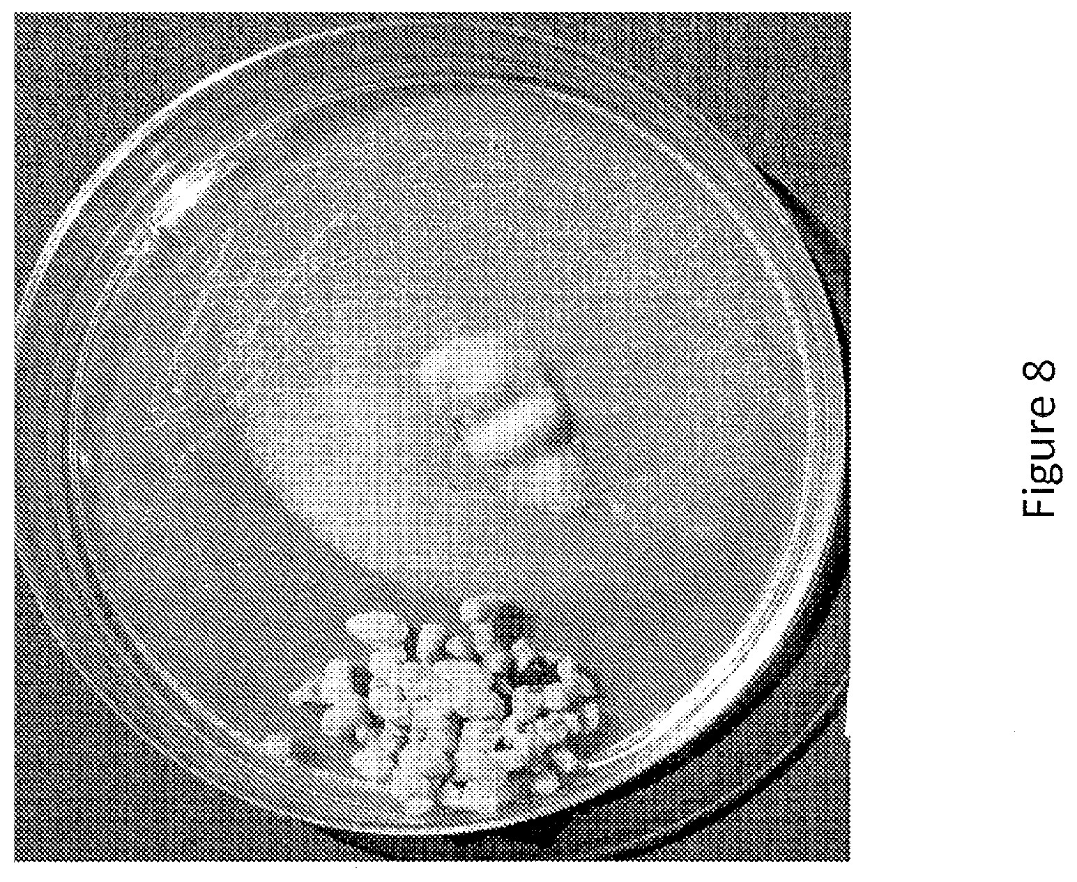 Patent US12097173 Figure 8 – Volatile organic compound formulations having antimicrobial activity