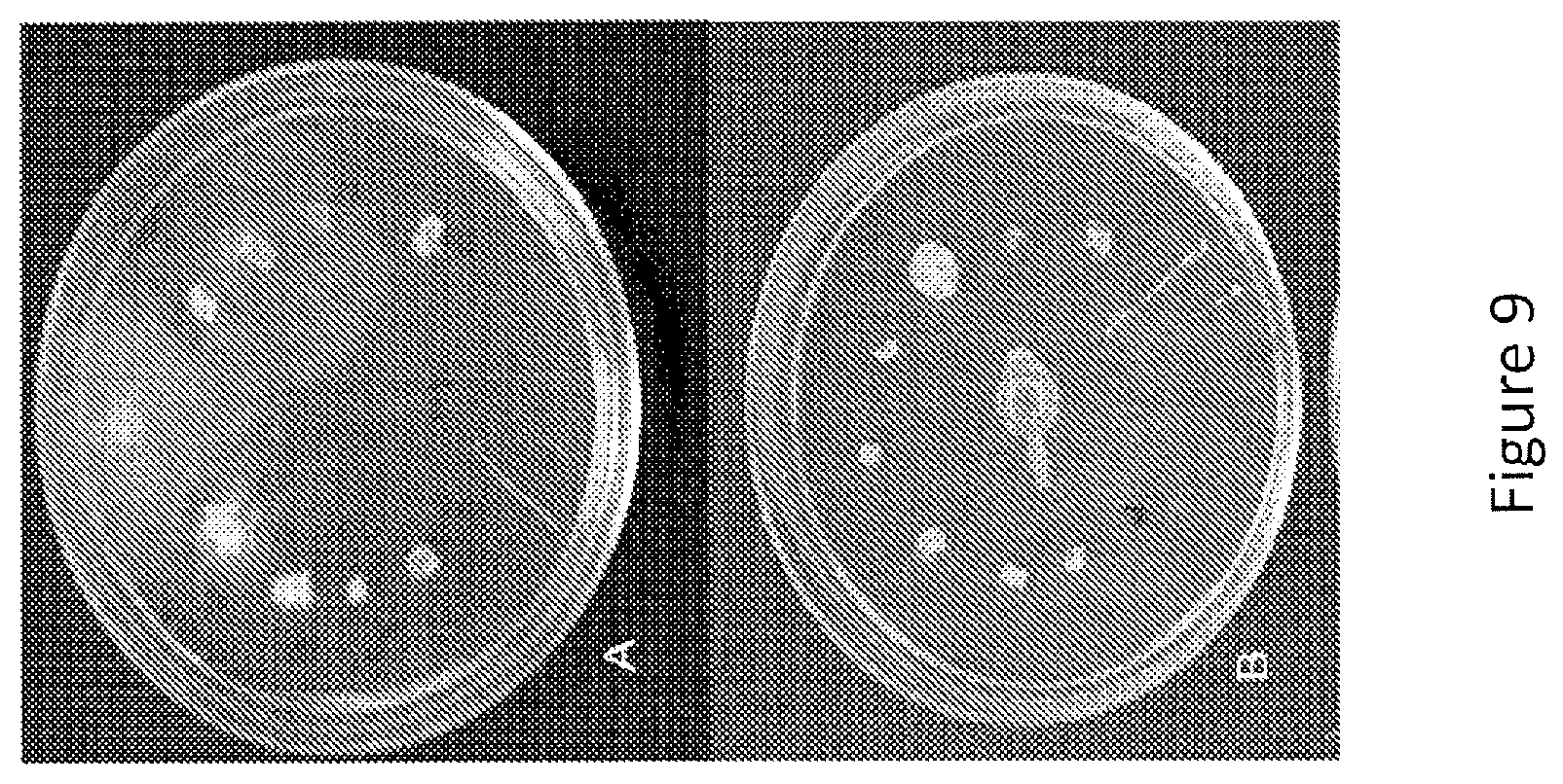 Patent US12097173 Figure 9 – Volatile organic compound formulations having antimicrobial activity
