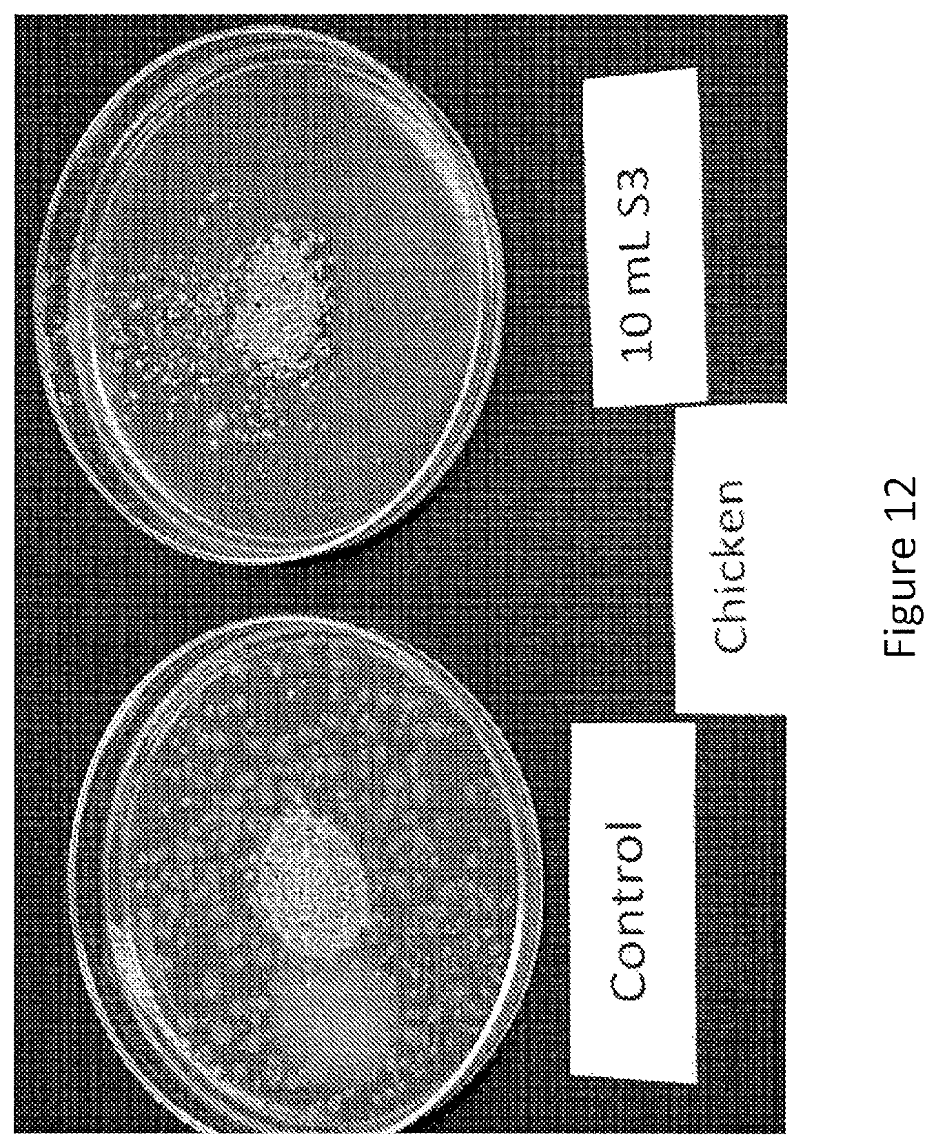 Patent US12097173 Figure 12 – Volatile organic compound formulations having antimicrobial activity