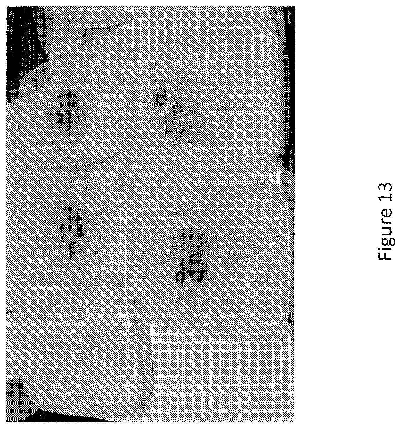 Patent US12097173 Figure 13 – Volatile organic compound formulations having antimicrobial activity