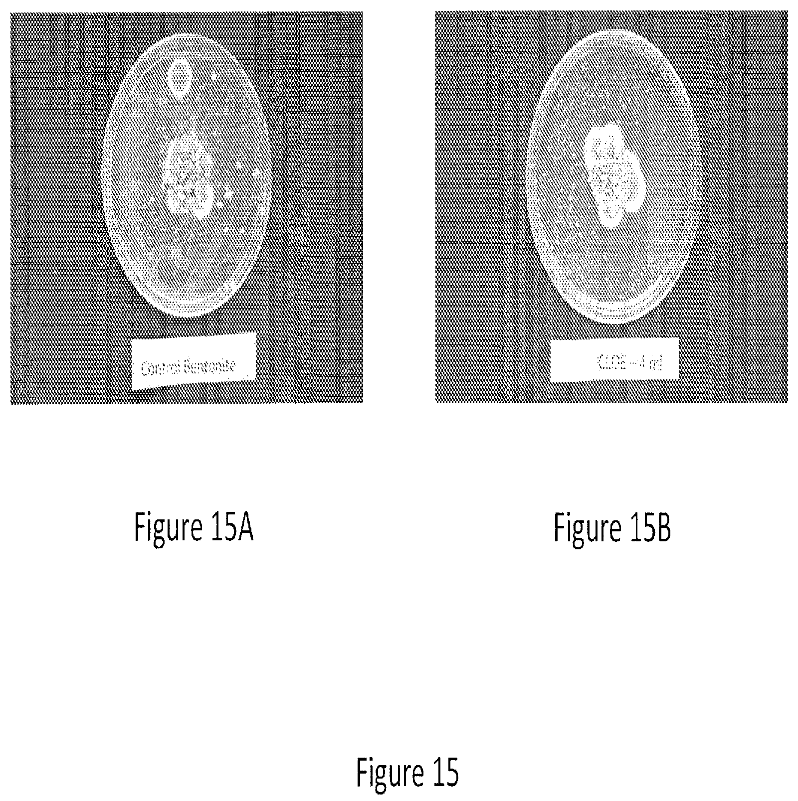 Patent US12097173 Figure 15 – Volatile organic compound formulations having antimicrobial activity