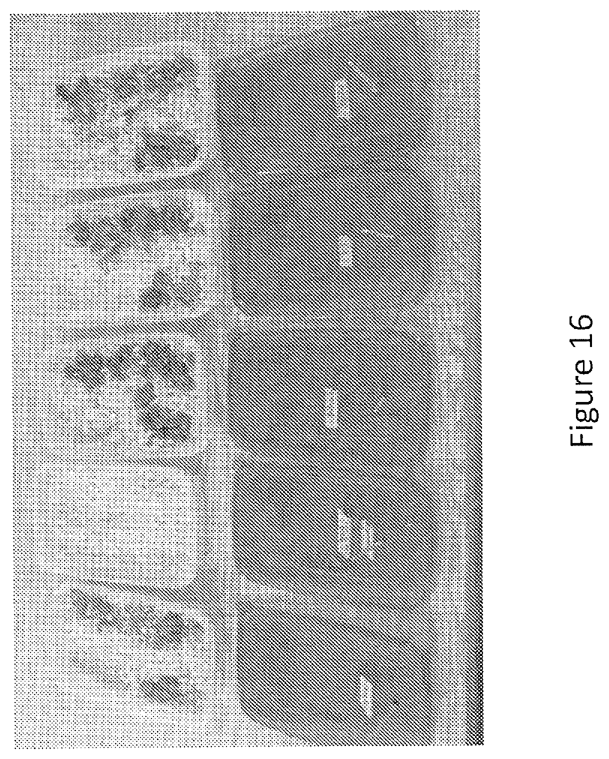Patent US12097173 Figure 16 – Volatile organic compound formulations having antimicrobial activity