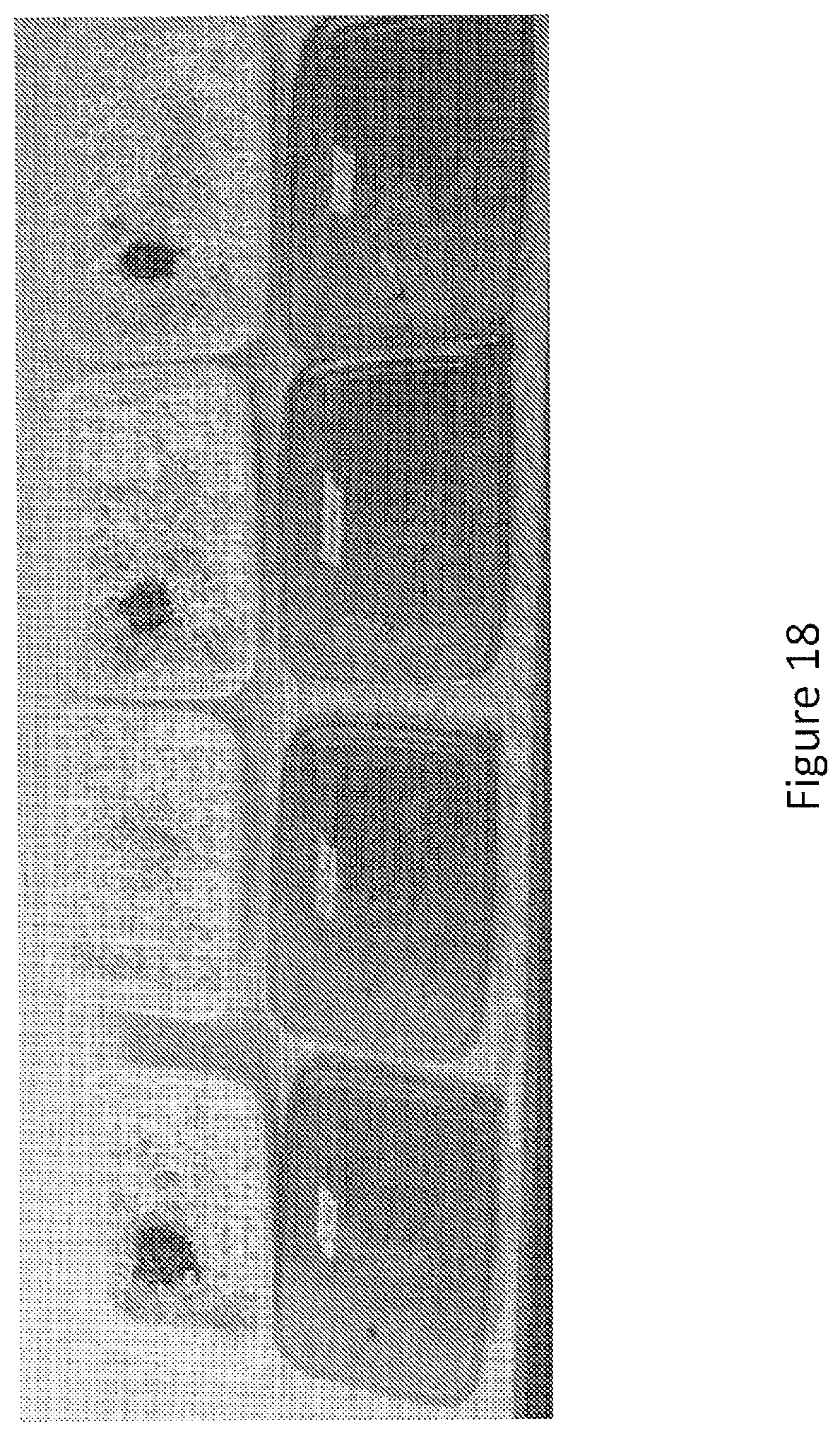 Patent US12097173 Figure 18 – Volatile organic compound formulations having antimicrobial activity