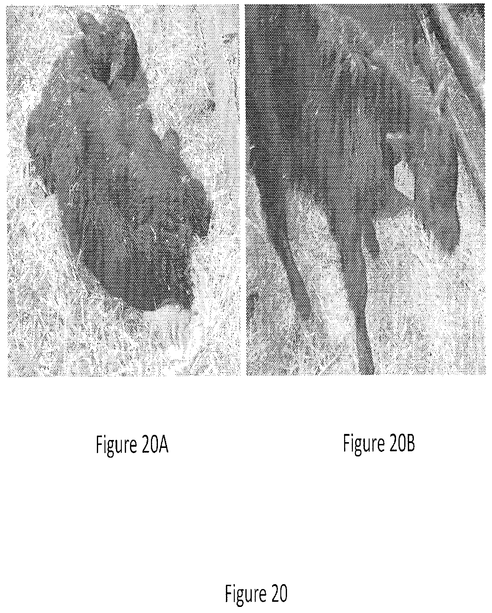 Patent US12097173 Figure 20 – Volatile organic compound formulations having antimicrobial activity
