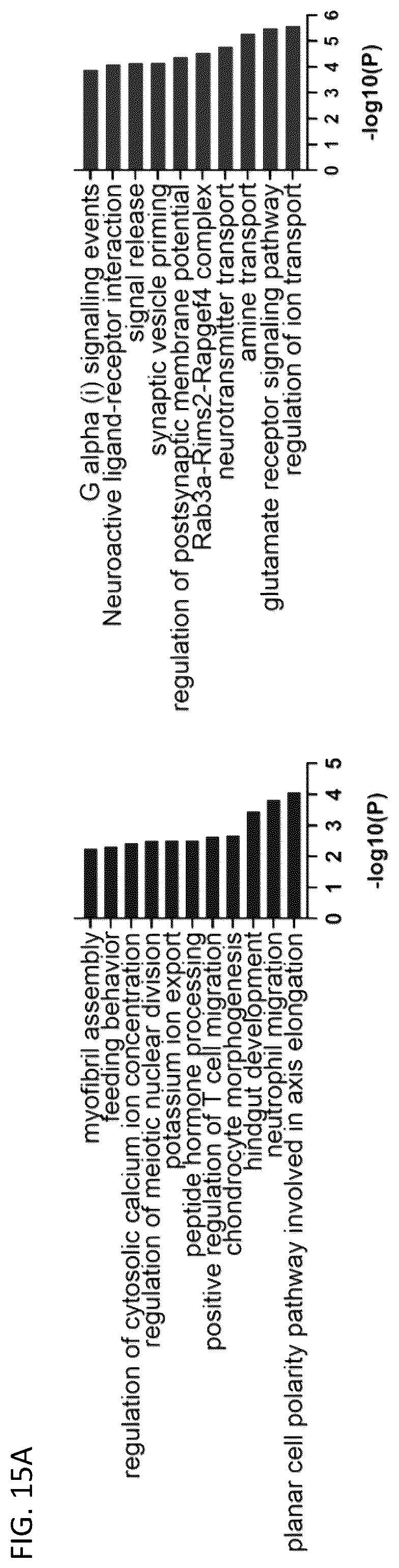 Patent US12097174 Figure 19 – Methods and agents that enhance myogenic progenitor cell engraftment