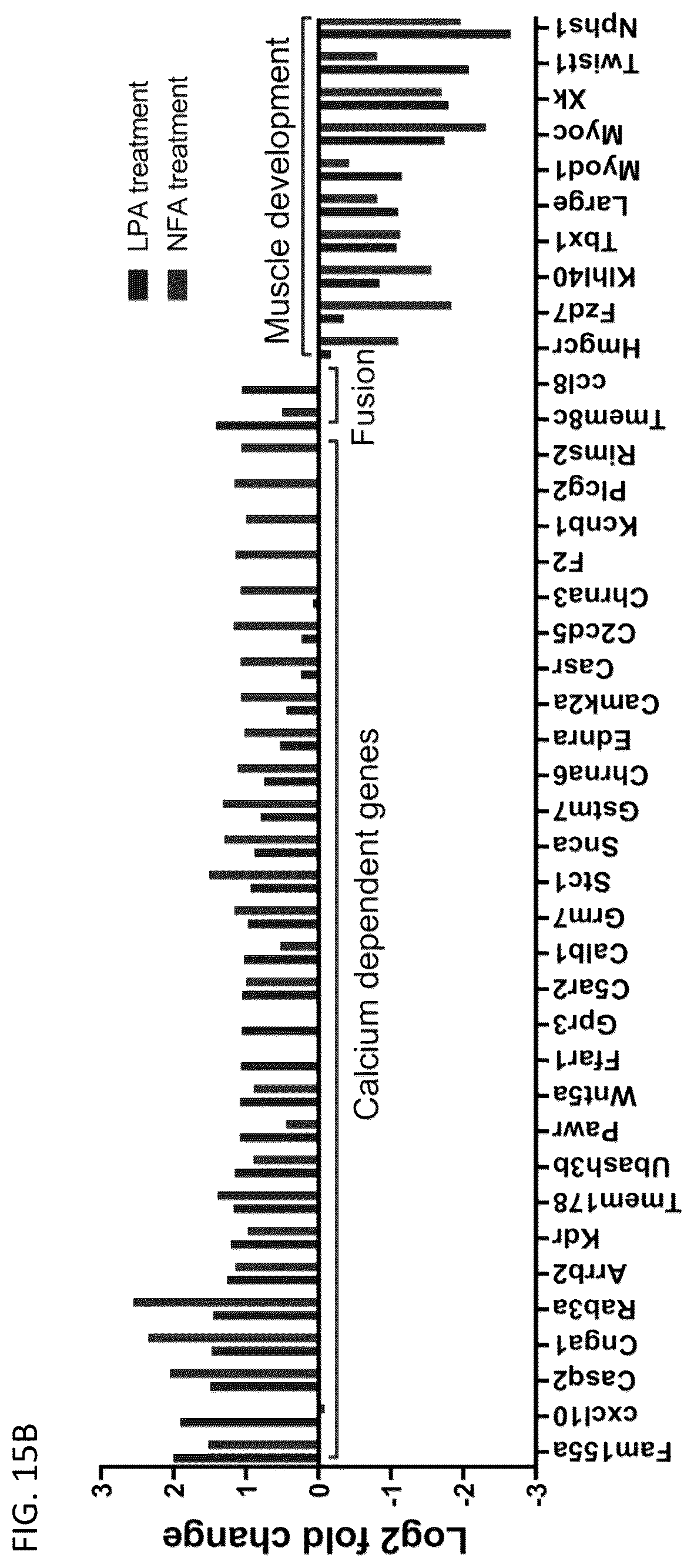 Patent US12097174 Figure 20 – Methods and agents that enhance myogenic progenitor cell engraftment