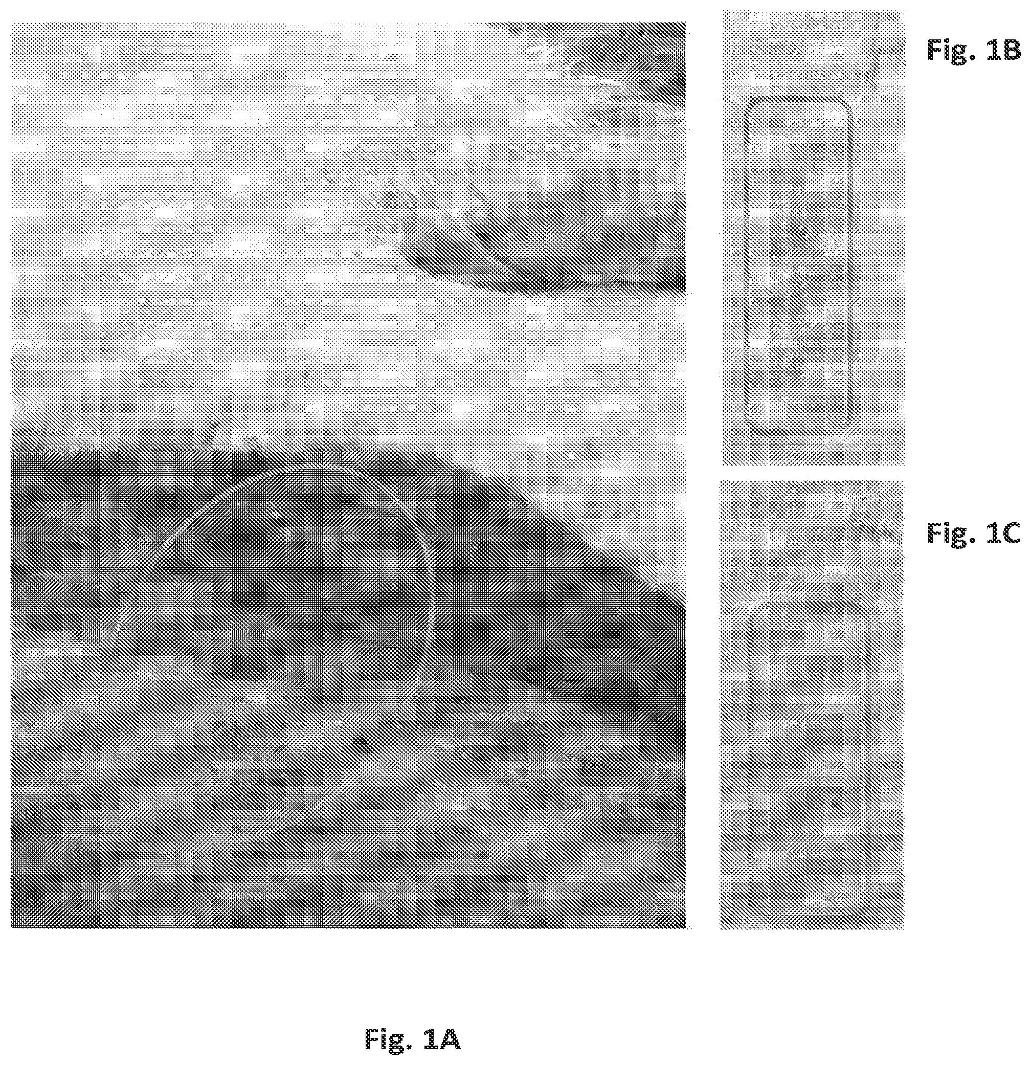 Patent US12097179 Figure 1 – Carbazole derivatives for the treatment of fibrotic diseases and related symptoms, and conditions thereof