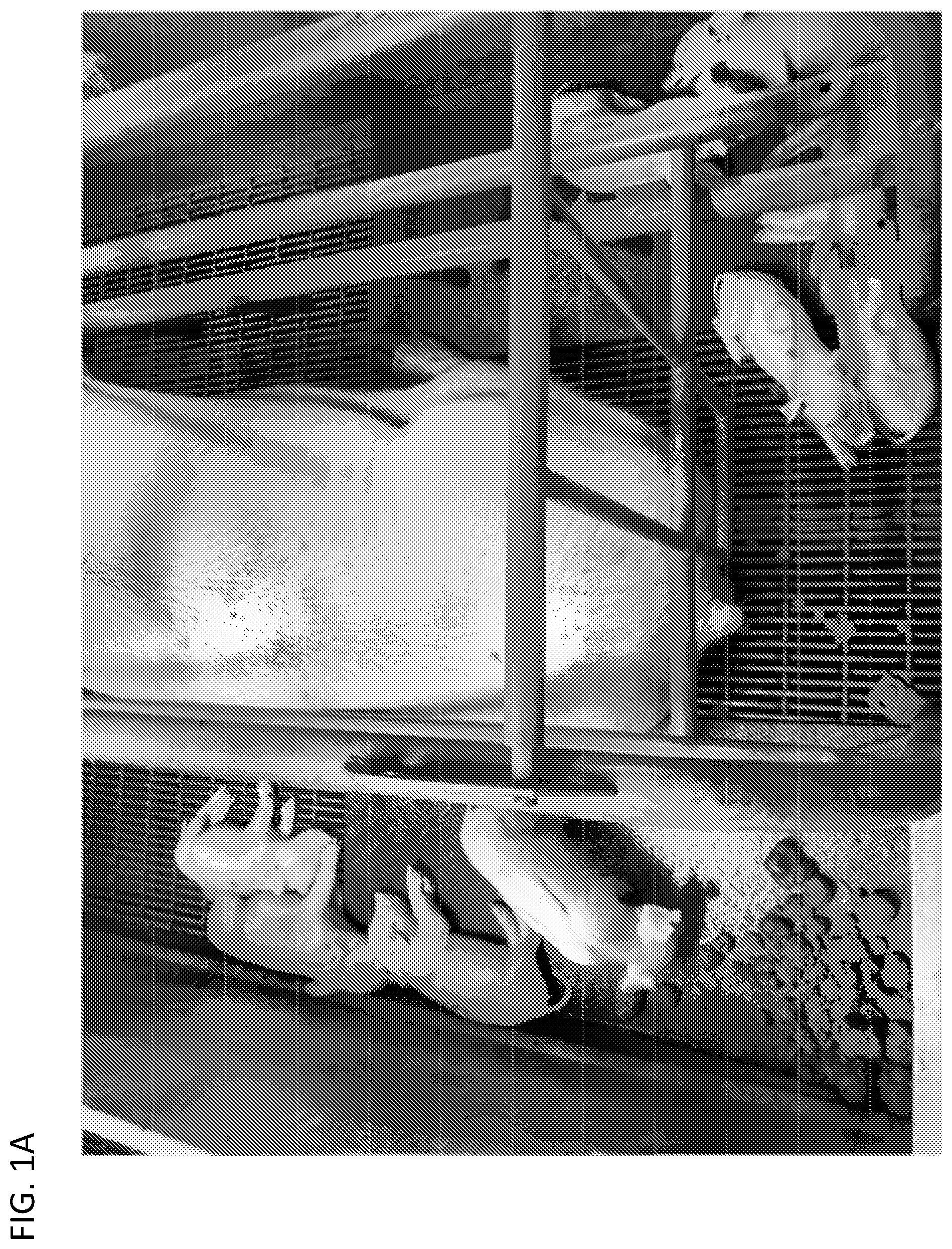 Patent US12097181 Figure 1 – Swine maternal neonatal pheromone