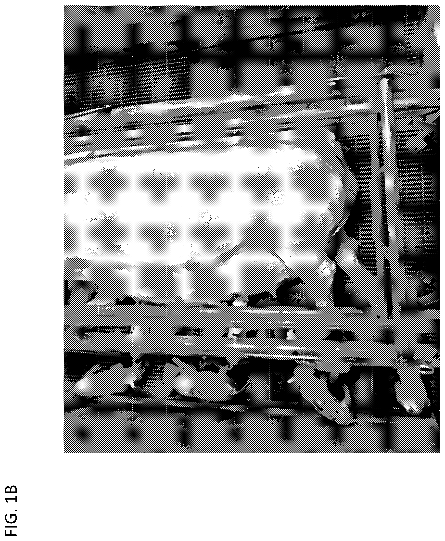 Patent US12097181 Figure 2 – Swine maternal neonatal pheromone