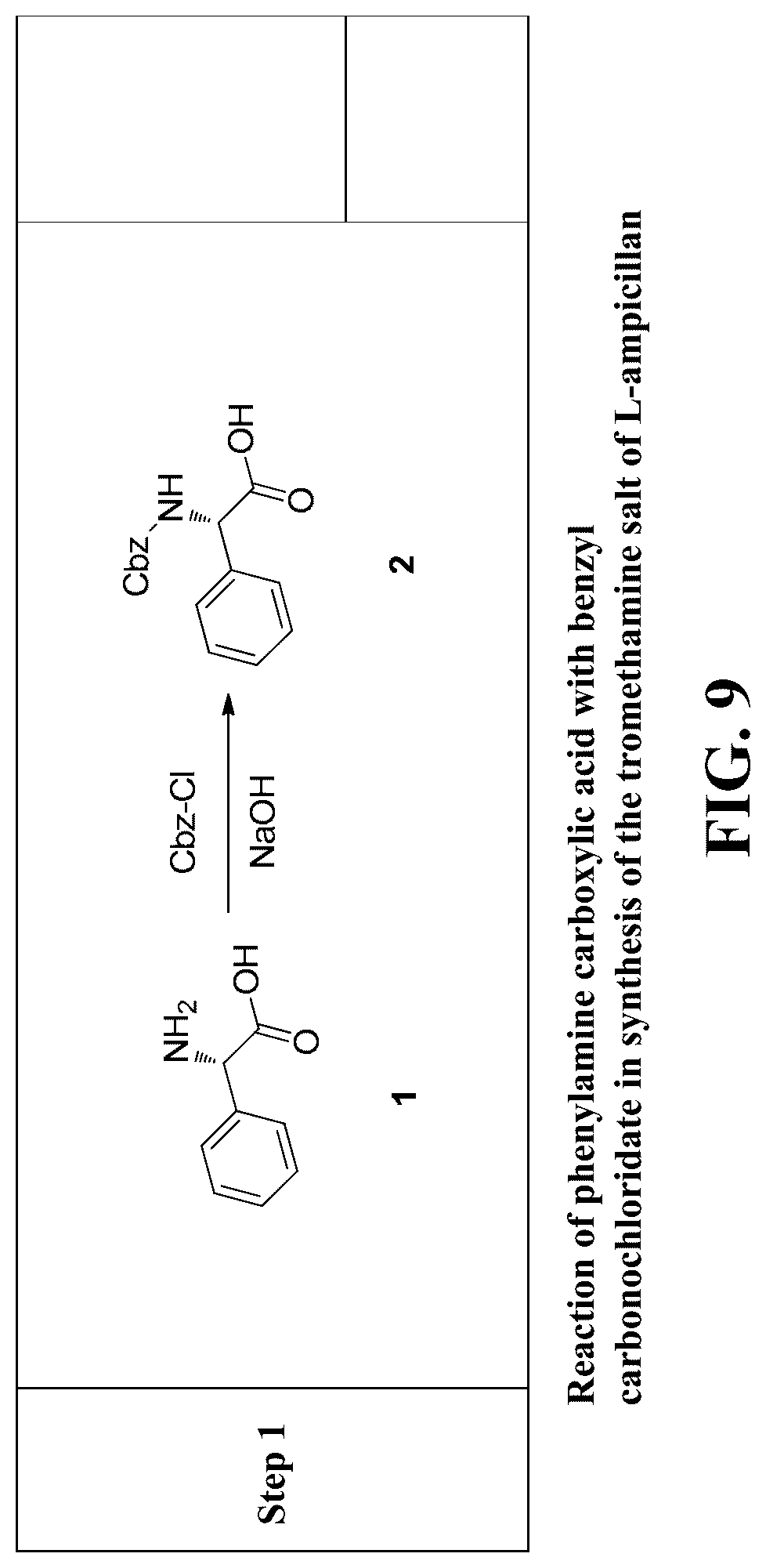 Patent US12097190 Figure 10 – Therapeutic use of levorotatory β-lactams in hematopoiesis, immuno-oncology therapy, and regulation of lipoprotein and apolipoprotein levels