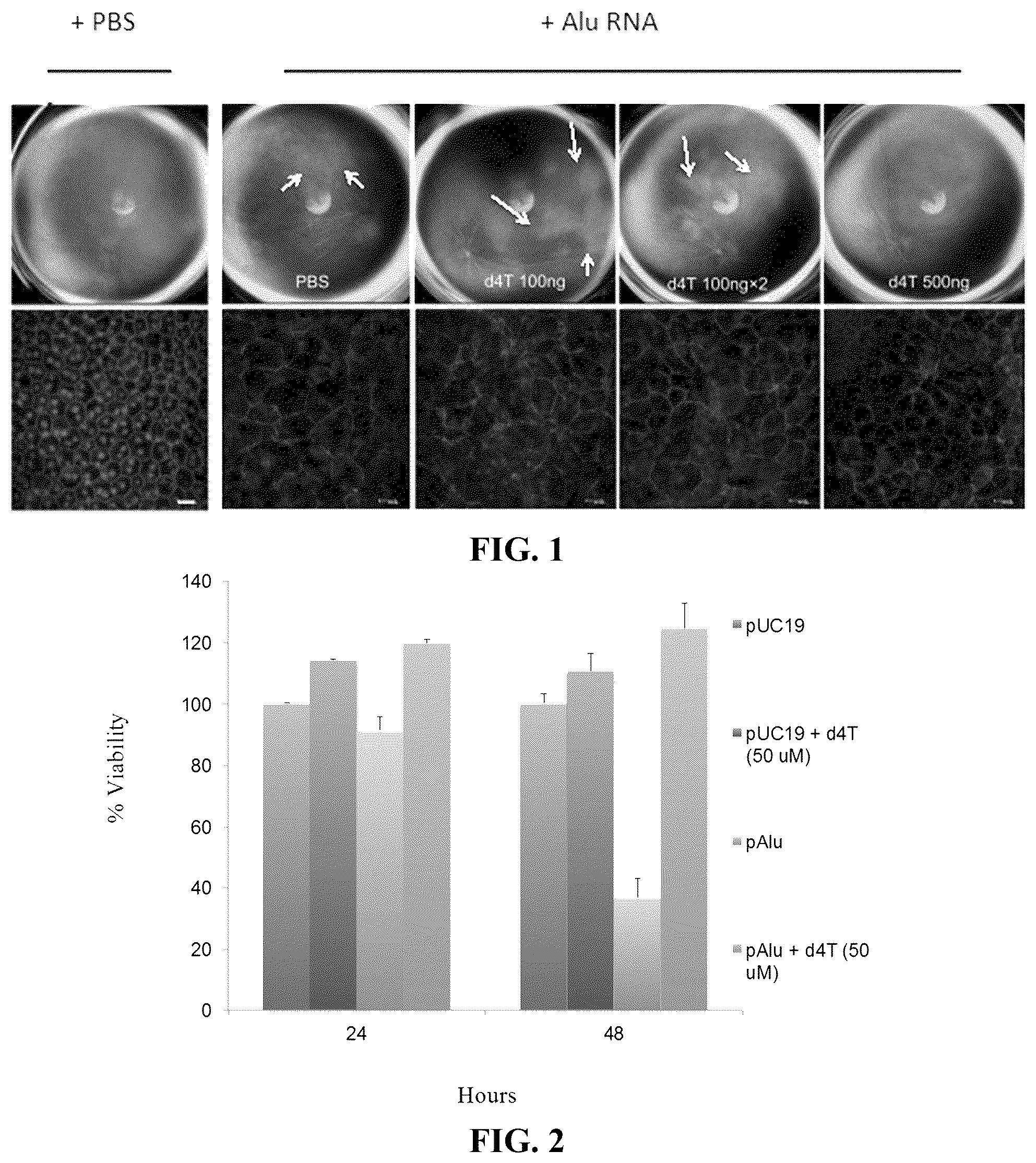 Patent US12097201 Figure 1 – Compositions and methods for treating retinal degradation
