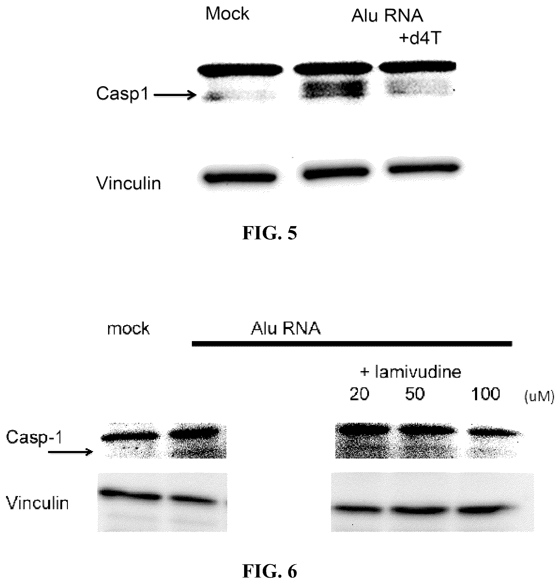 Patent US12097201 Figure 3 – Compositions and methods for treating retinal degradation