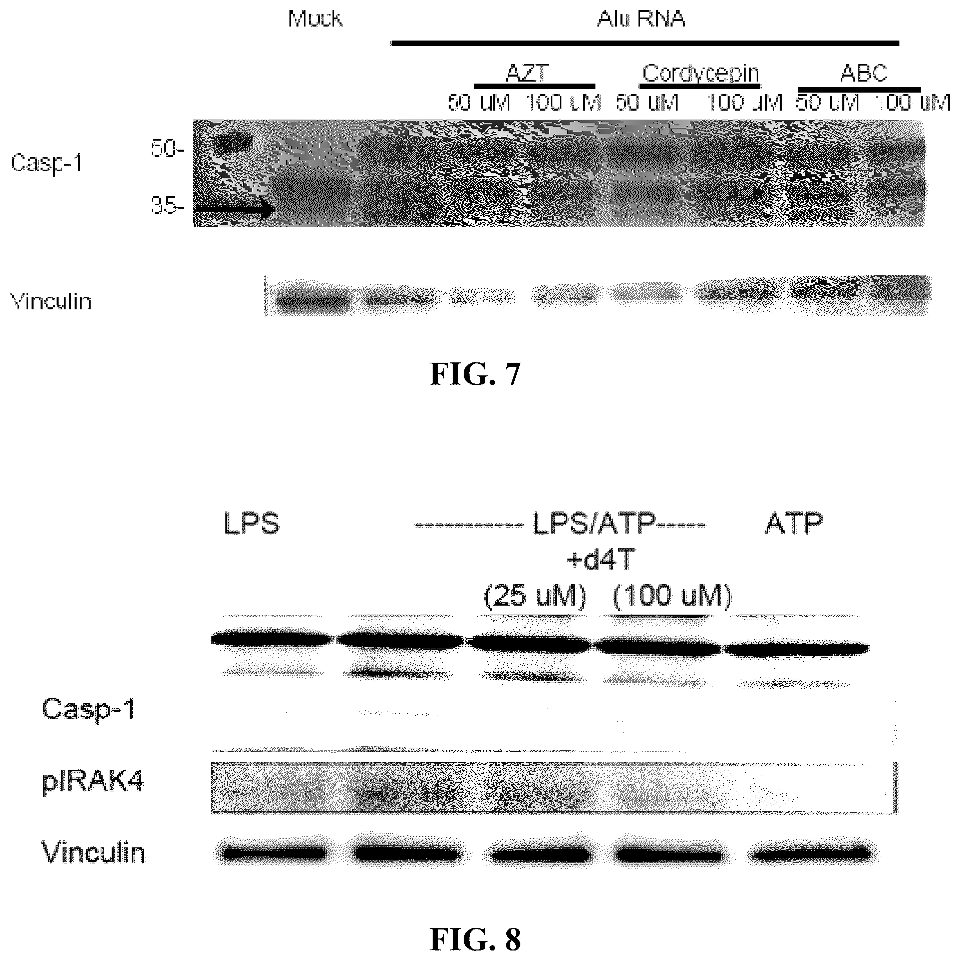 Patent US12097201 Figure 4 – Compositions and methods for treating retinal degradation