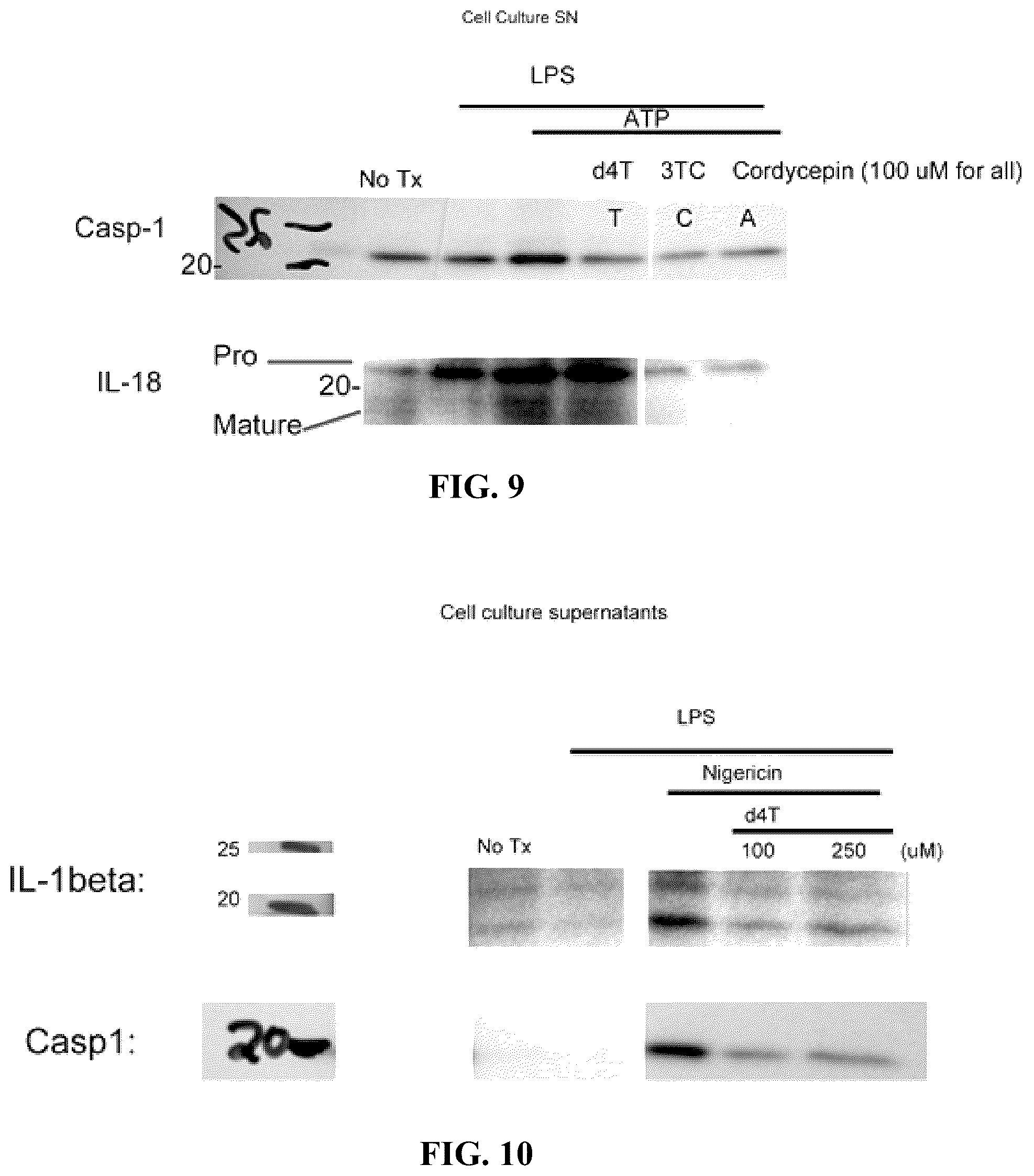 Patent US12097201 Figure 5 – Compositions and methods for treating retinal degradation