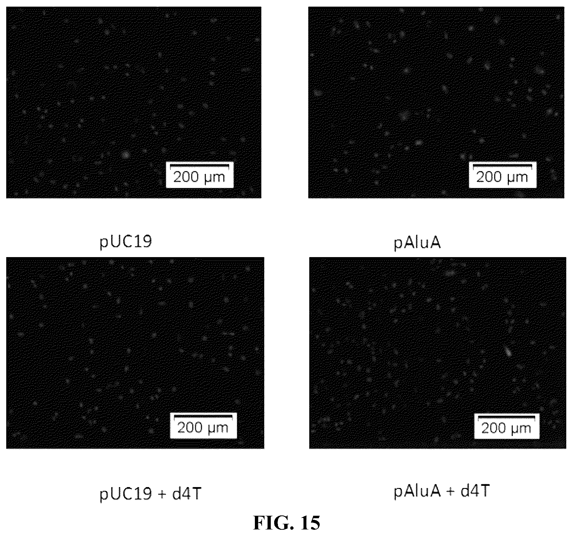 Patent US12097201 Figure 8 – Compositions and methods for treating retinal degradation