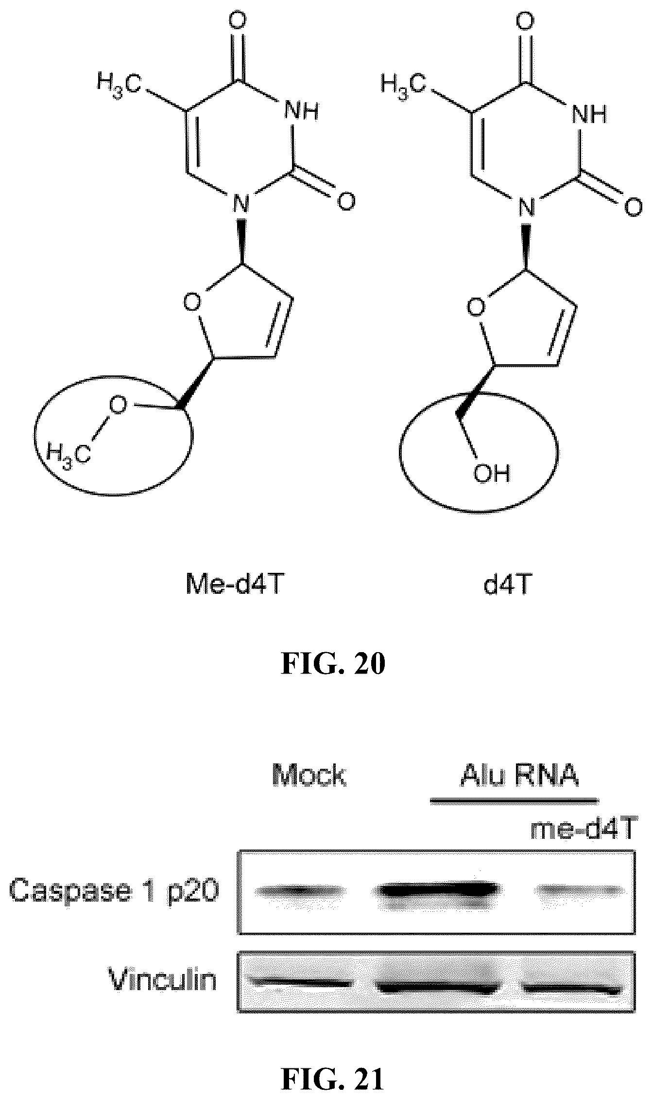 Patent US12097201 Figure 11 – Compositions and methods for treating retinal degradation