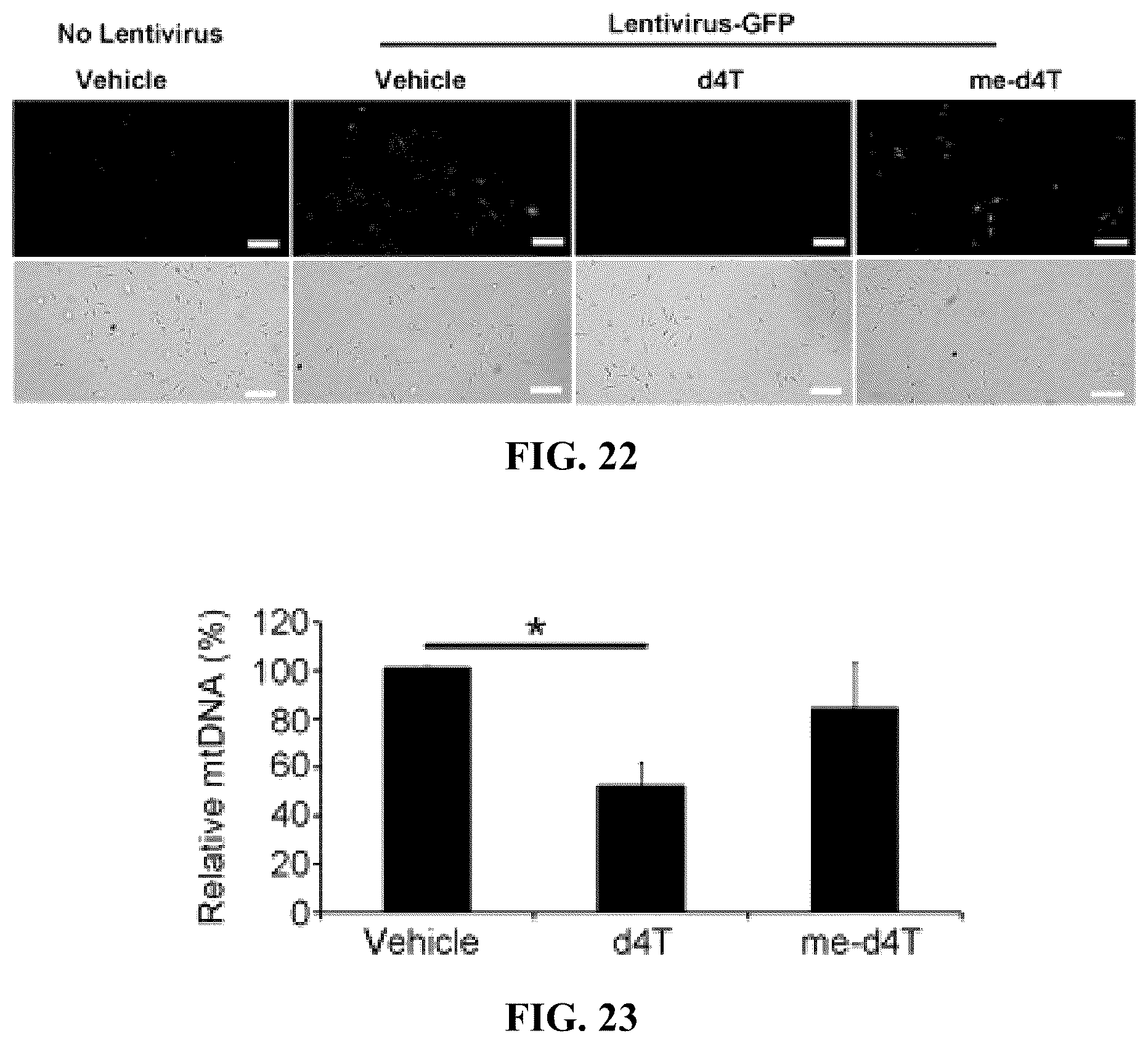 Patent US12097201 Figure 12 – Compositions and methods for treating retinal degradation