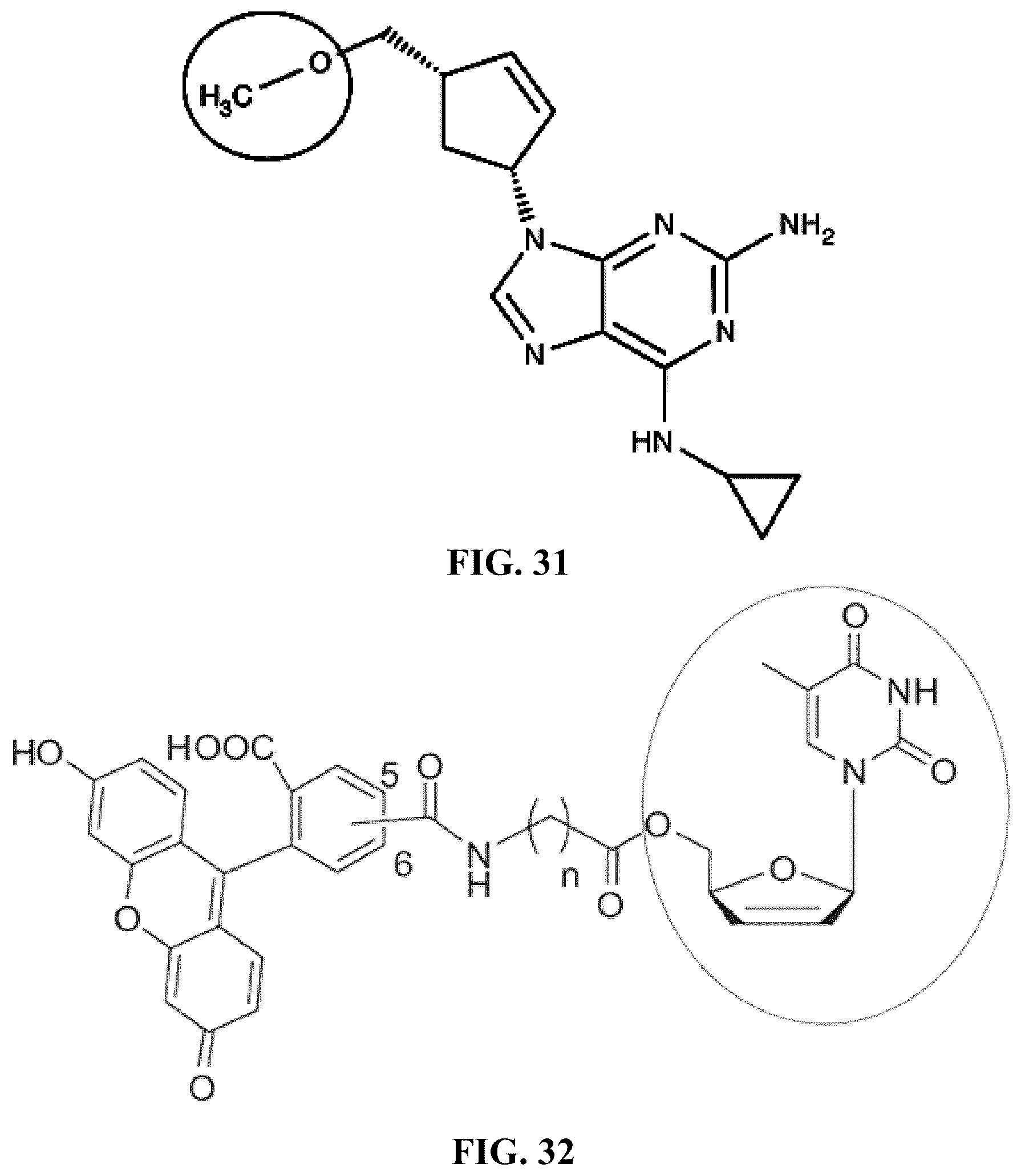 Patent US12097201 Figure 20 – Compositions and methods for treating retinal degradation