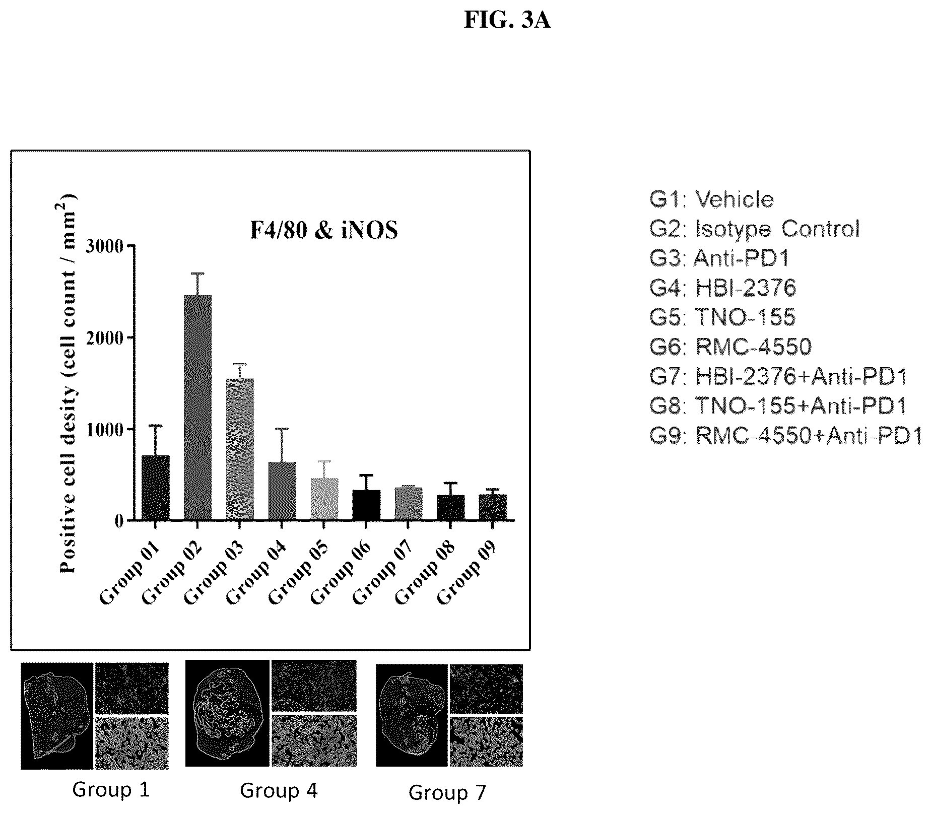 Patent US12097203 Figure 3 – Combination therapies comprising SHP2 inhibitors and PD-1 inhibitors