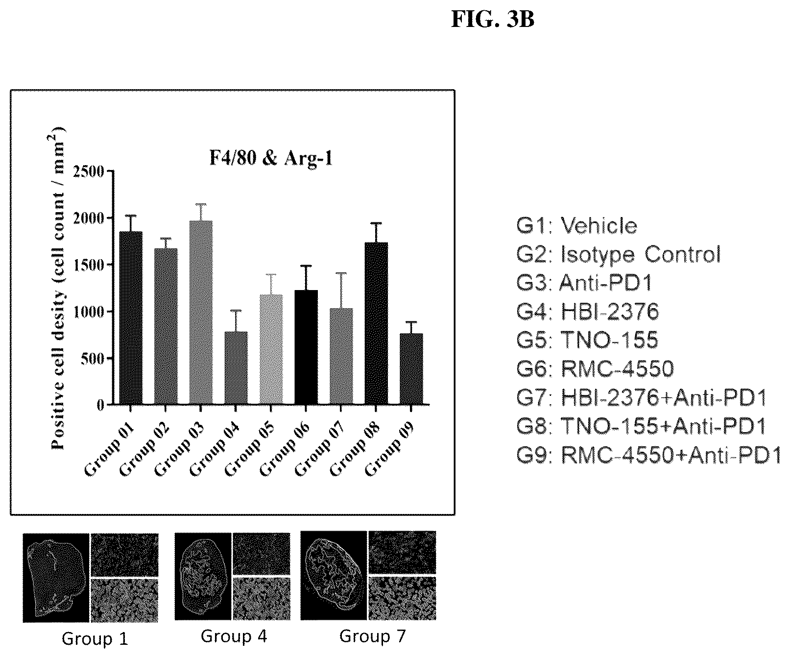Patent US12097203 Figure 4 – Combination therapies comprising SHP2 inhibitors and PD-1 inhibitors