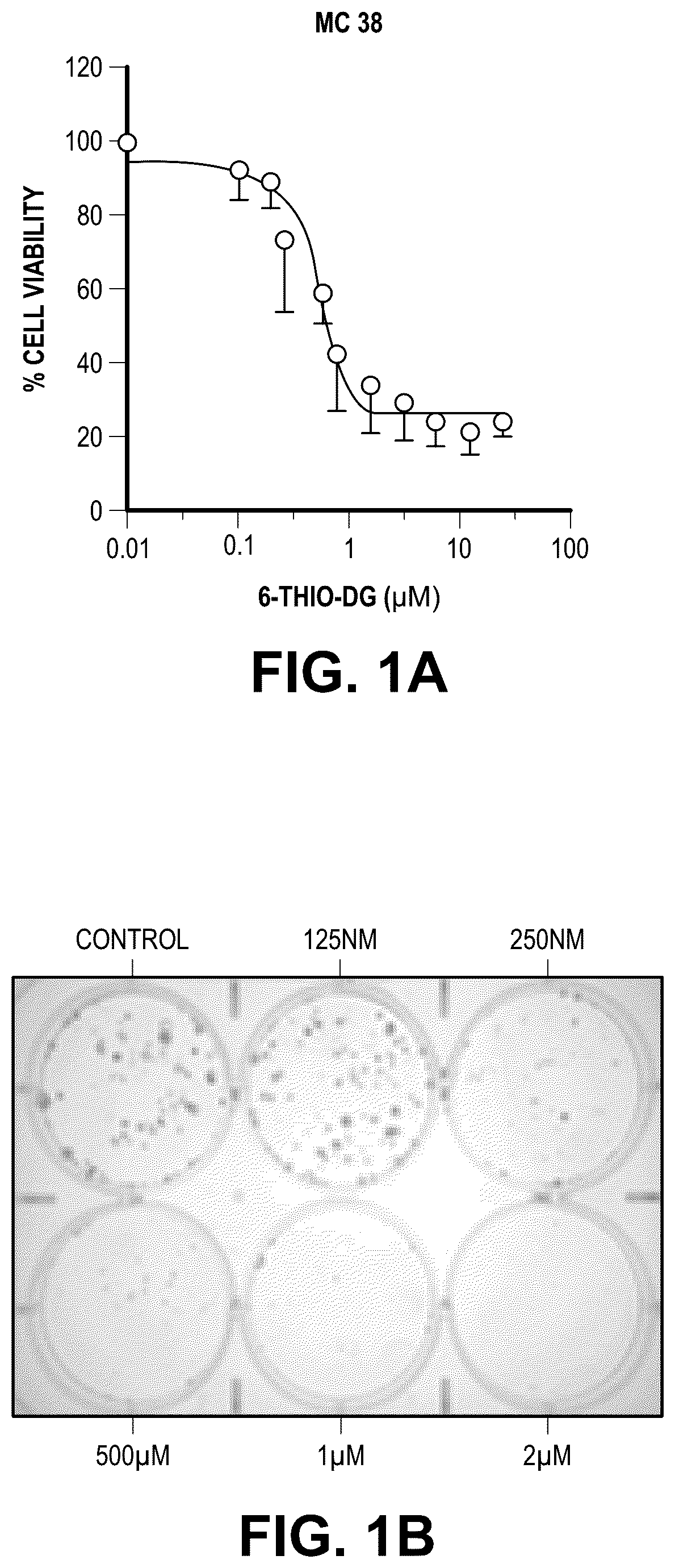 Patent US12097213 Figure 1 – Sequential treatment of cancers using 6-thio-dG, checkpoint inhibitors and radiation therapy