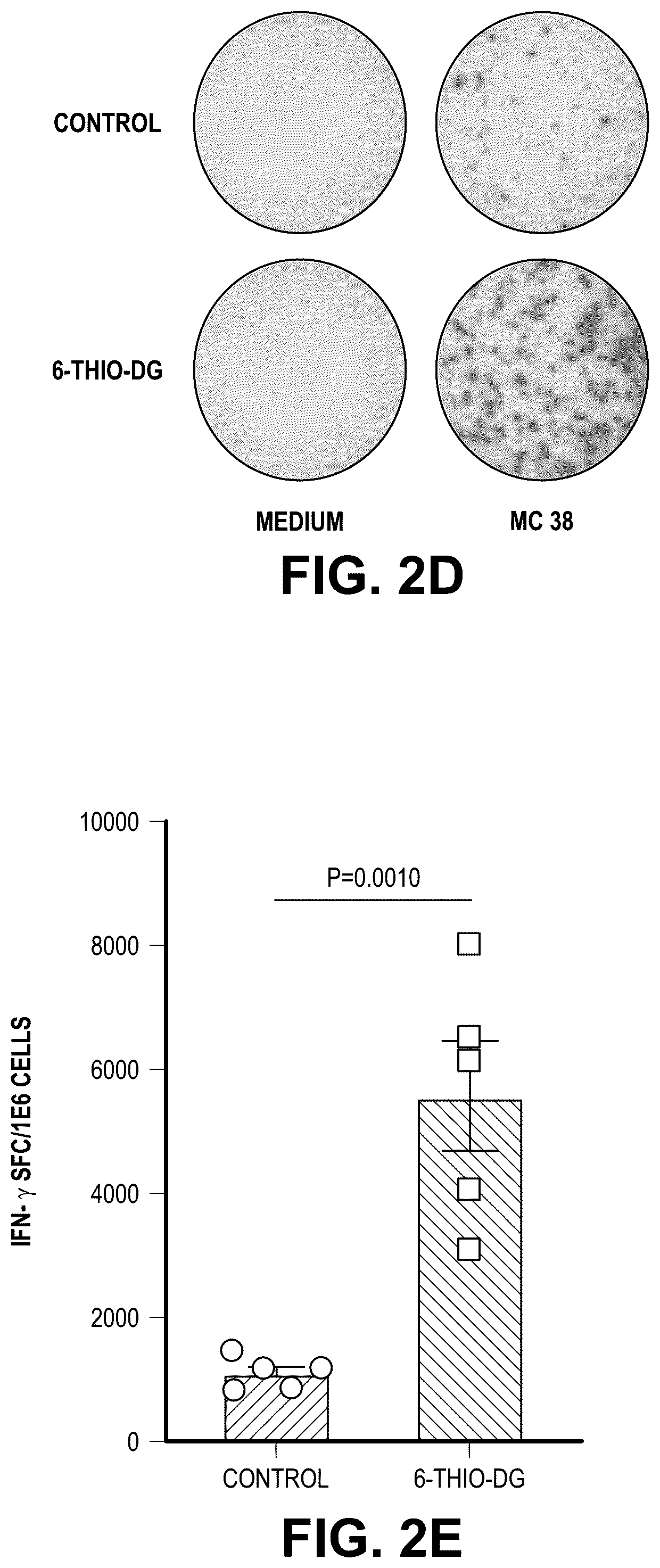 Patent US12097213 Figure 6 – Sequential treatment of cancers using 6-thio-dG, checkpoint inhibitors and radiation therapy
