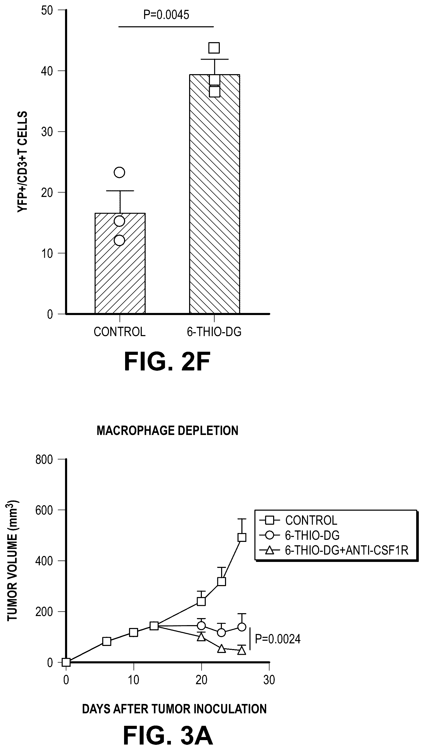 Patent US12097213 Figure 7 – Sequential treatment of cancers using 6-thio-dG, checkpoint inhibitors and radiation therapy