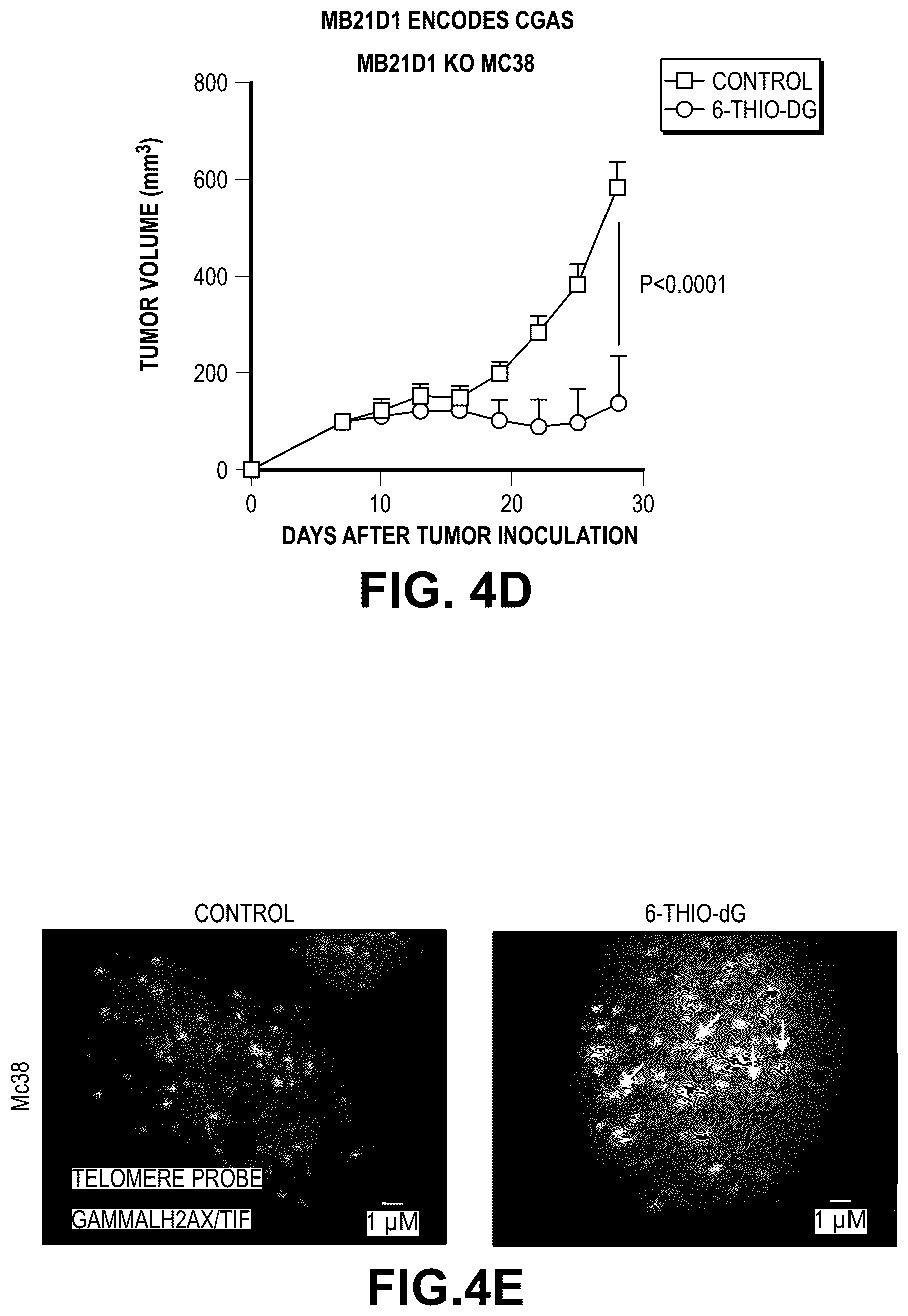 Patent US12097213 Figure 12 – Sequential treatment of cancers using 6-thio-dG, checkpoint inhibitors and radiation therapy
