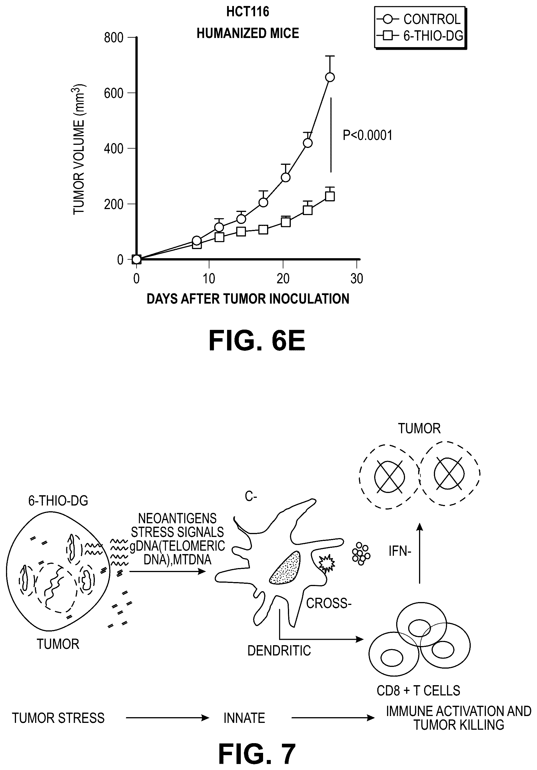 Patent US12097213 Figure 19 – Sequential treatment of cancers using 6-thio-dG, checkpoint inhibitors and radiation therapy