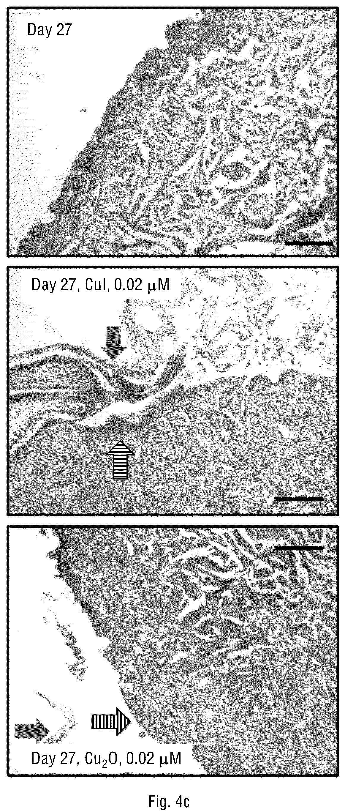 Patent US12097216 Figure 9 – Method for prevention and reduction of skin stasis with compositions and materials comprising copper compounds