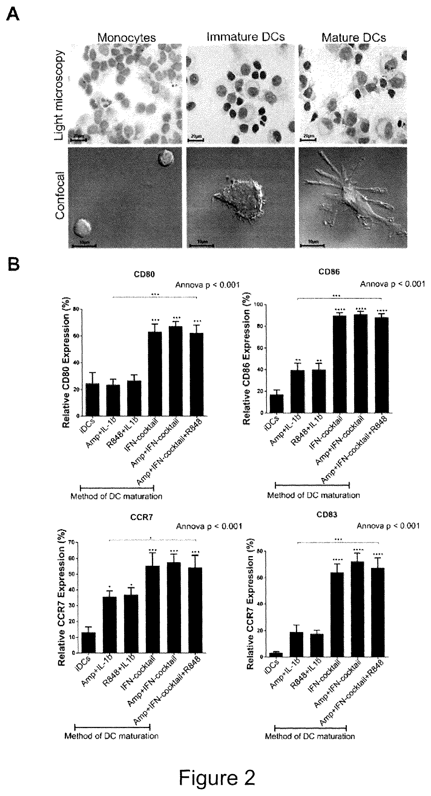 Patent US12097217 Figure 2 – Maturation of dendritic cells