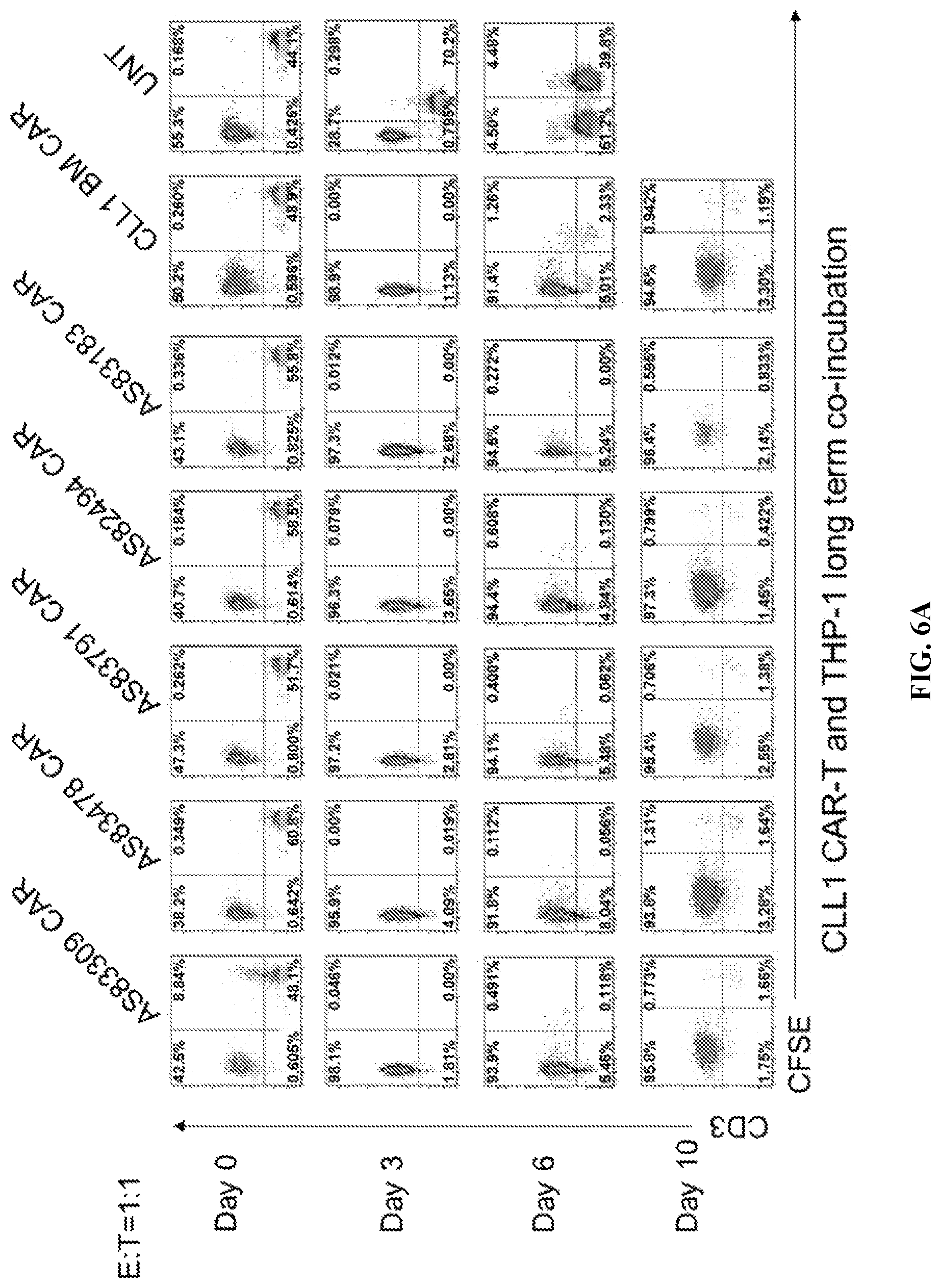 Patent US12097219 Figure 5 – Single-domain antibodies against CLL1 and constructs thereof