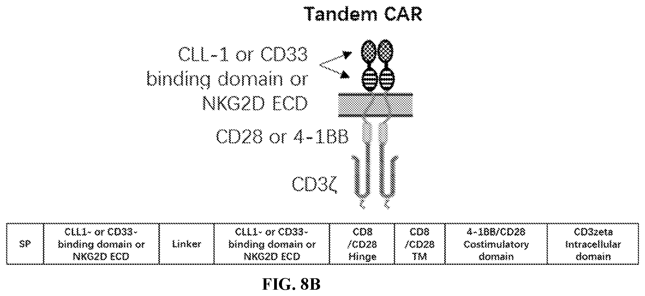 Patent US12097219 Figure 8 – Single-domain antibodies against CLL1 and constructs thereof