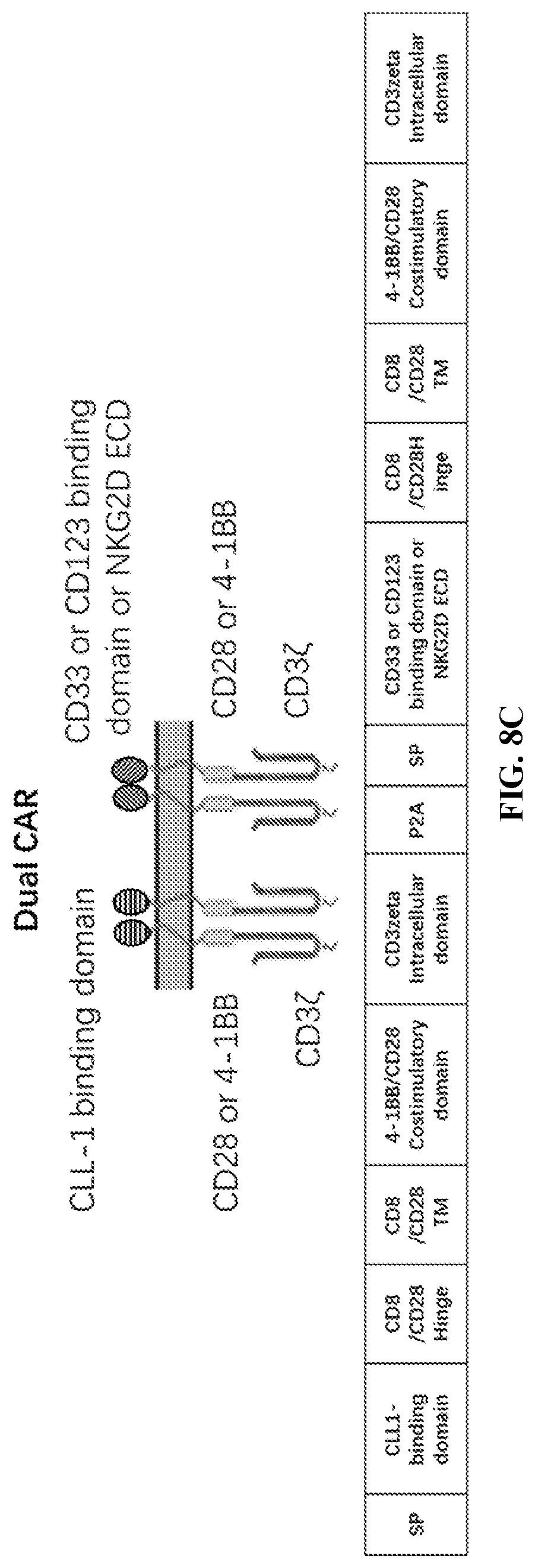 Patent US12097219 Figure 9 – Single-domain antibodies against CLL1 and constructs thereof