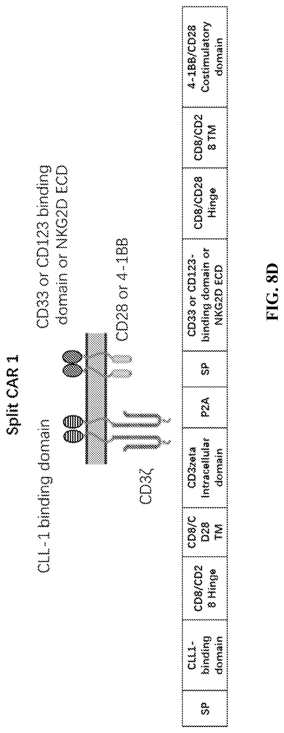 Patent US12097219 Figure 10 – Single-domain antibodies against CLL1 and constructs thereof