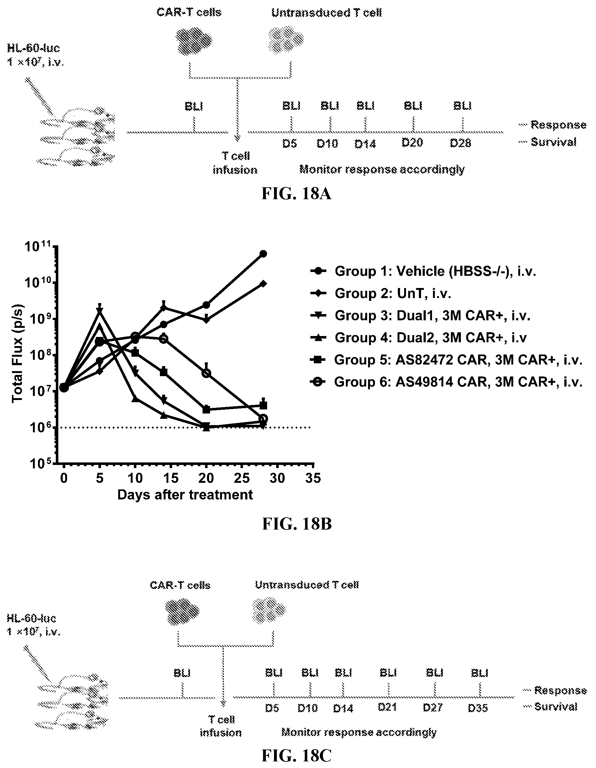 Patent US12097219 Figure 20 – Single-domain antibodies against CLL1 and constructs thereof
